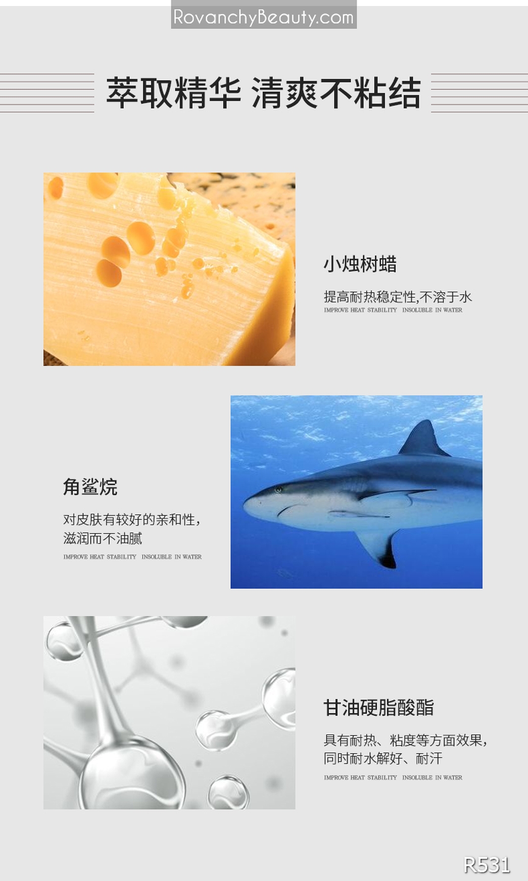 Mascara R531 ROVANCHY Angel - Kéo dài mi tự nhiên, không lem, chống nước hiệu quả_thumbnail_19