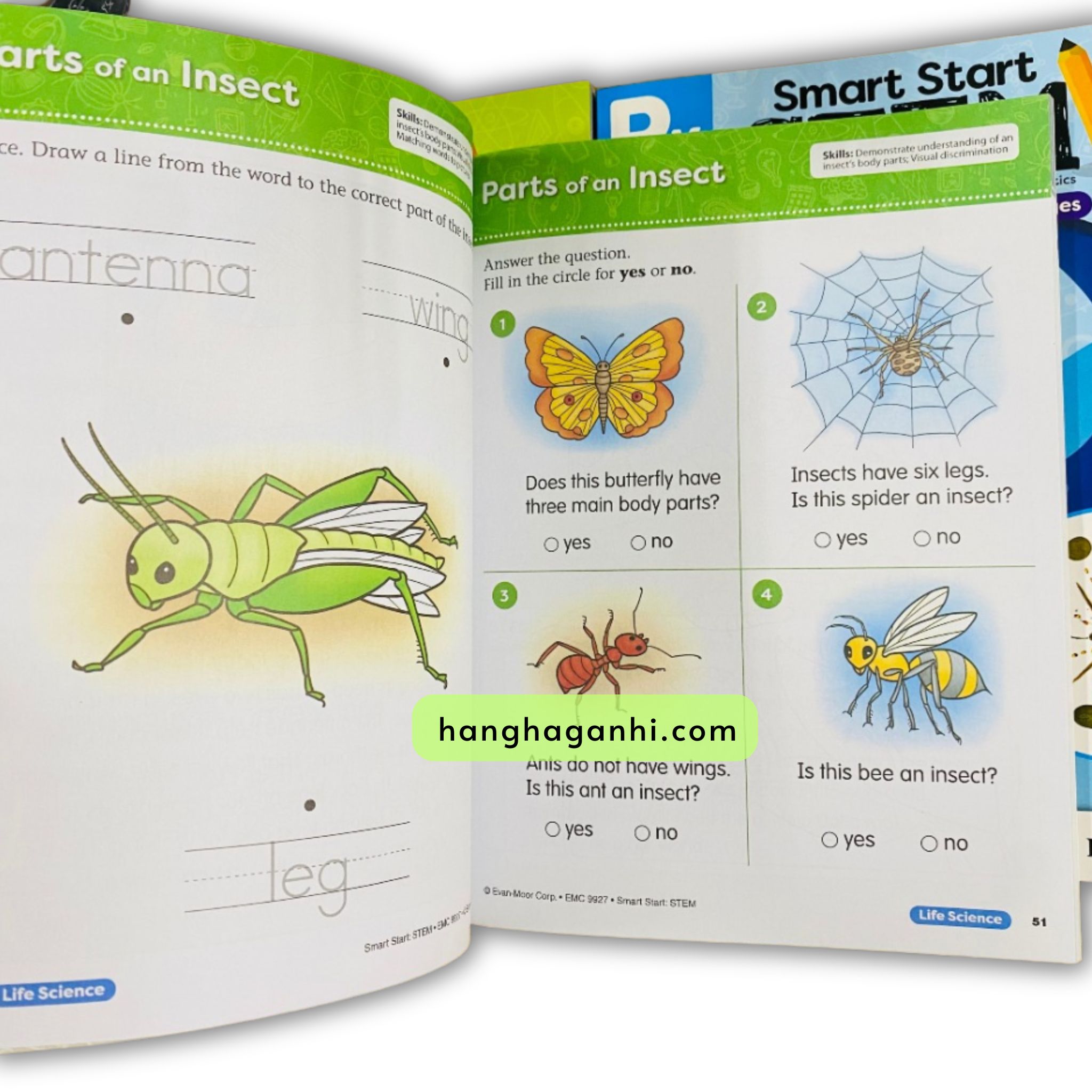 Smart Start Stem (bộ 3 cuốn) sách nhập_thumbnail_7