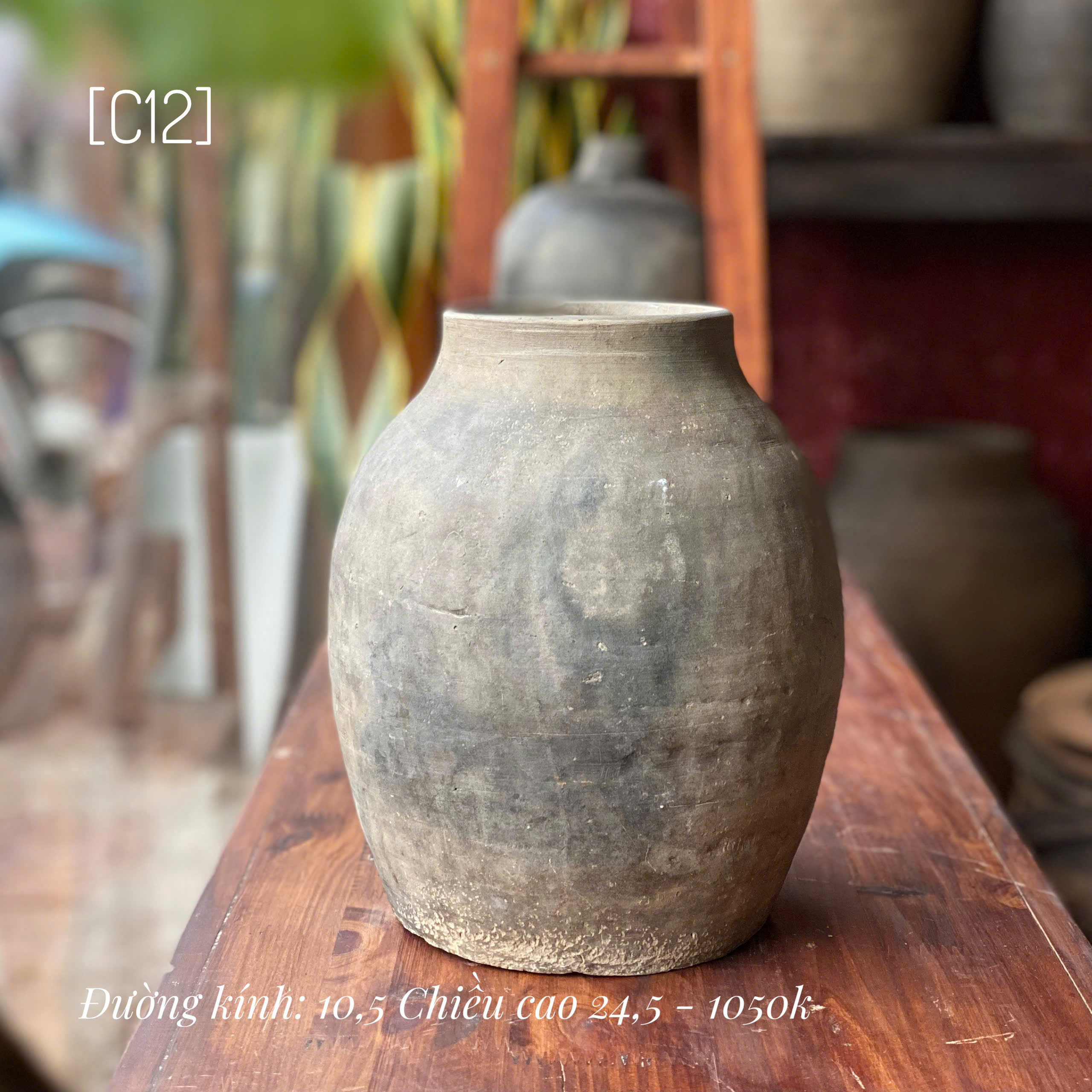 Bình Mường Chanh nhỏ - C12