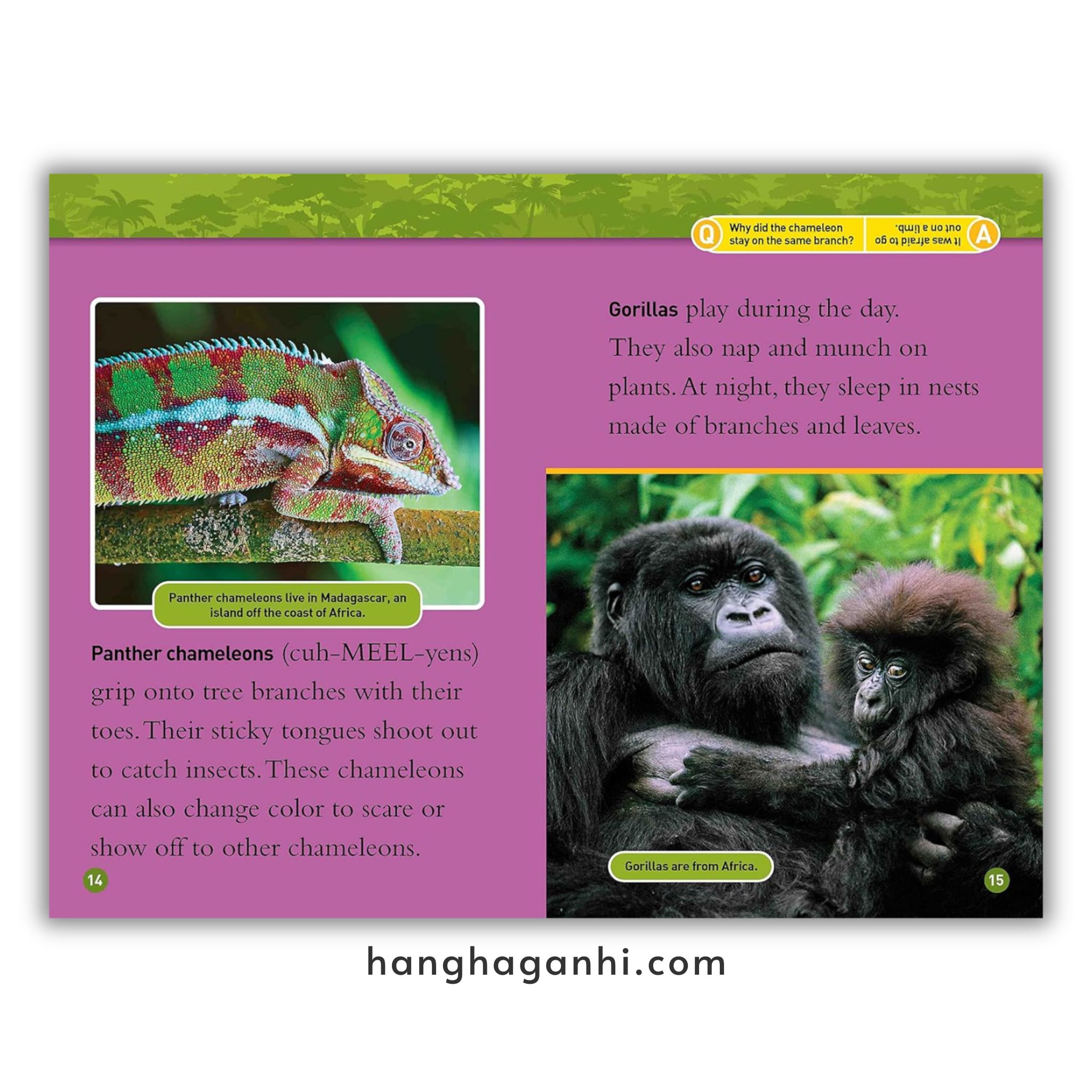 Bộ 41 cuốn National Geographic Kids level 2 - sách Khoa học tiếng Anh nhập khẩu, nguyên seal_thumbnail_19