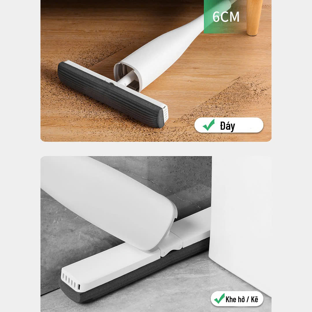 Cây Lau Nhà Tanaka_thumbnail_5