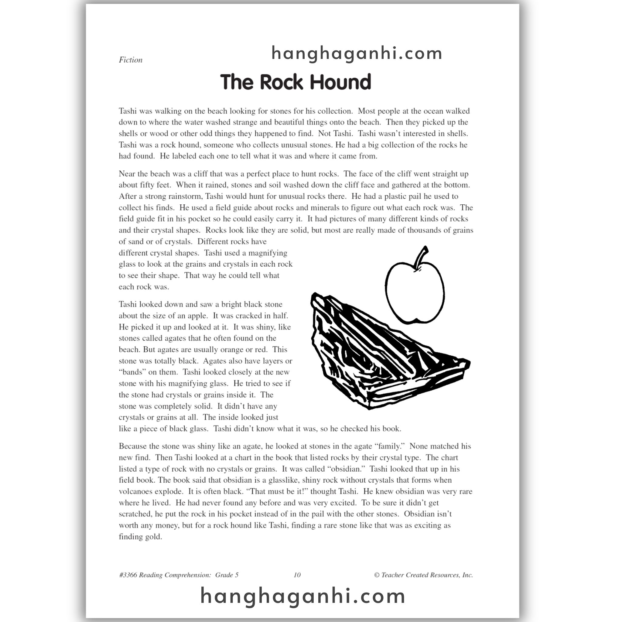 Reading Comprehension Grade 5 Teacher Created Resources, sách đọc hiểu lớp 5_thumbnail_15