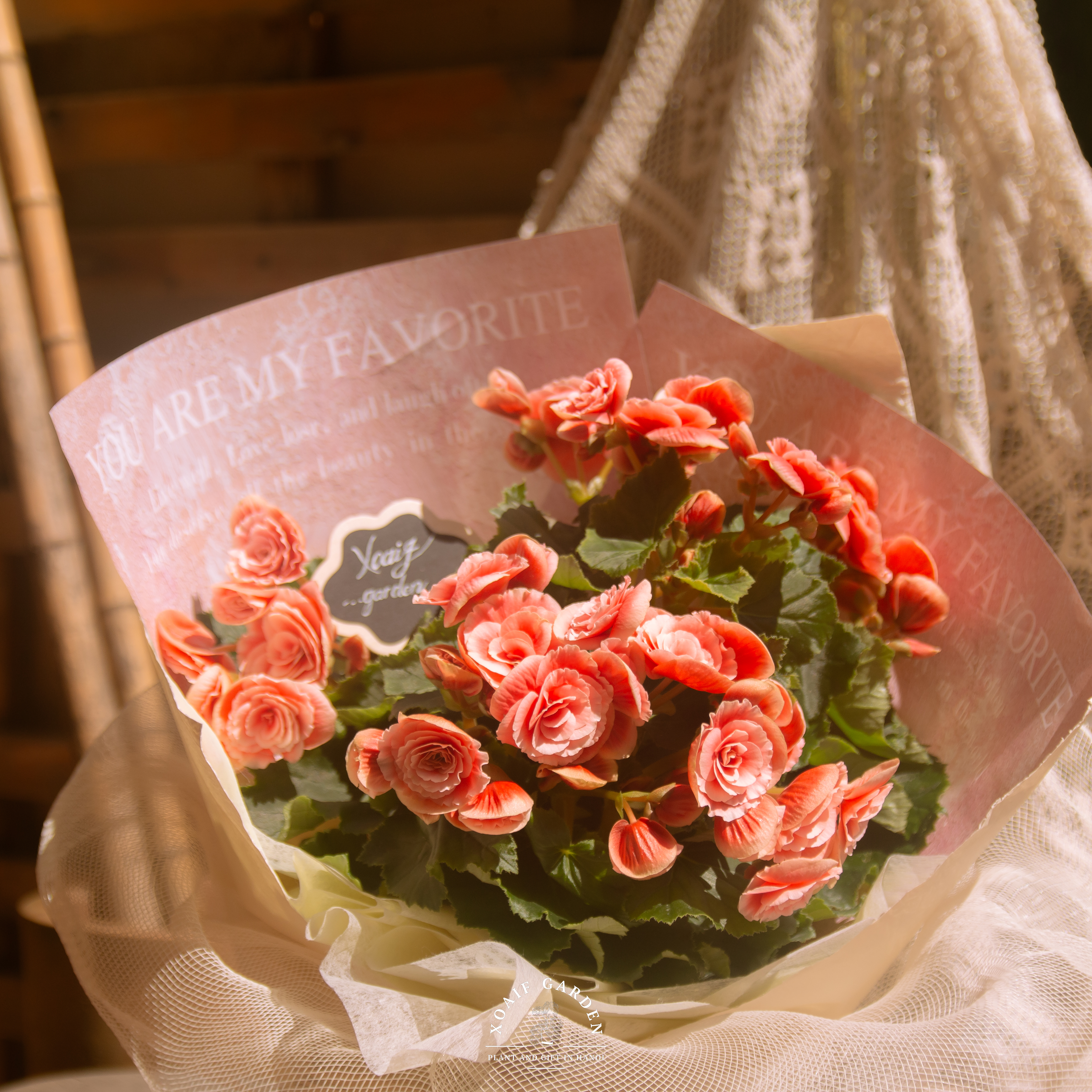 SET QUÀ TẶNG CÂY THU HẢI ĐƯỜNG_thumbnail_2