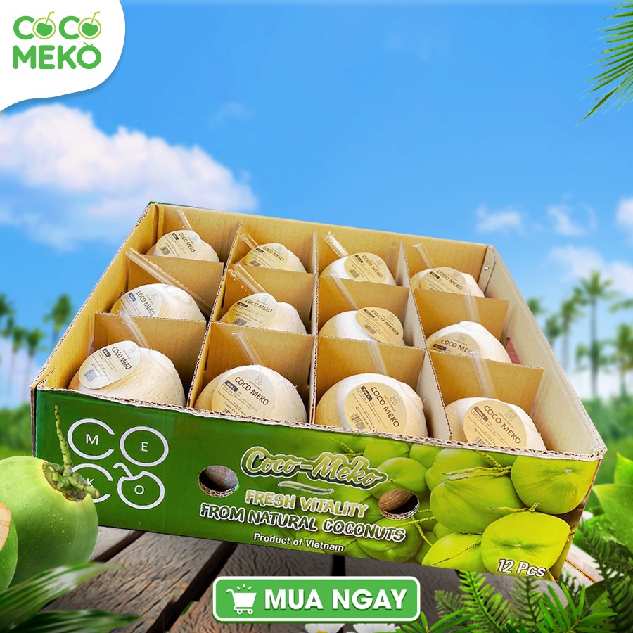 Gift Box of 12 Coconuts_thumbnail_3