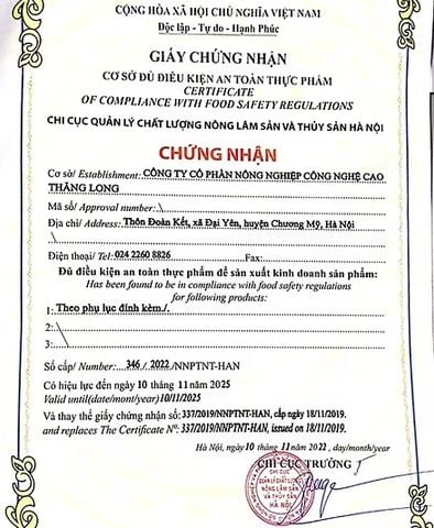 Trà cà gai leo đinh lăng_thumbnail_3