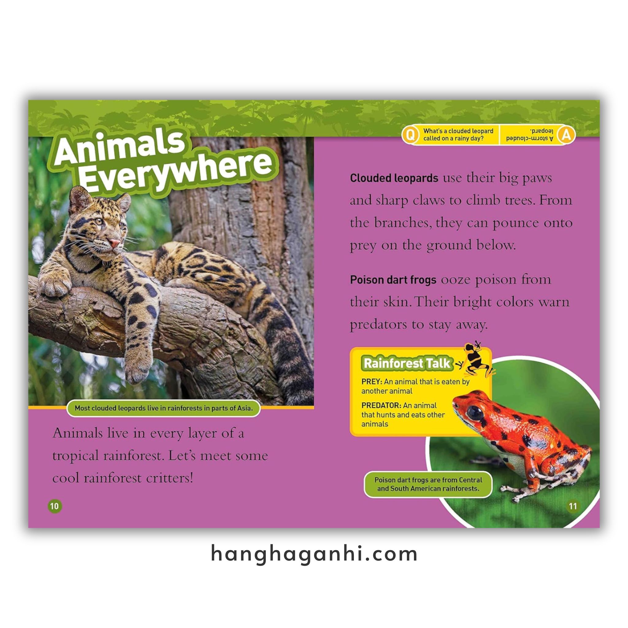 Bộ 41 cuốn National Geographic Kids level 2 - sách Khoa học tiếng Anh nhập khẩu, nguyên seal_thumbnail_13