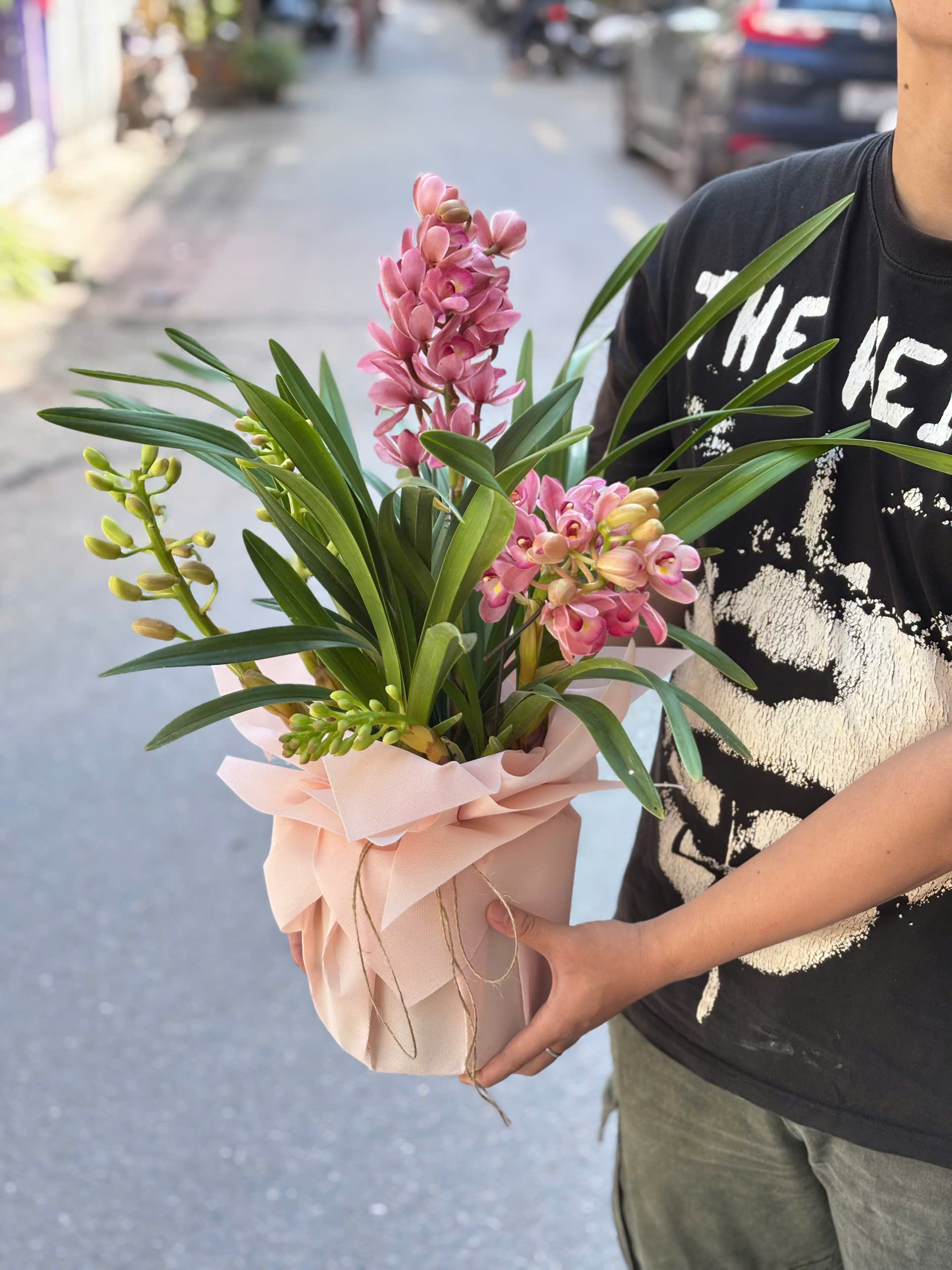 SET ĐỊA LAN CƠ BẢN VỚI GIẤY HOA_thumbnail_4