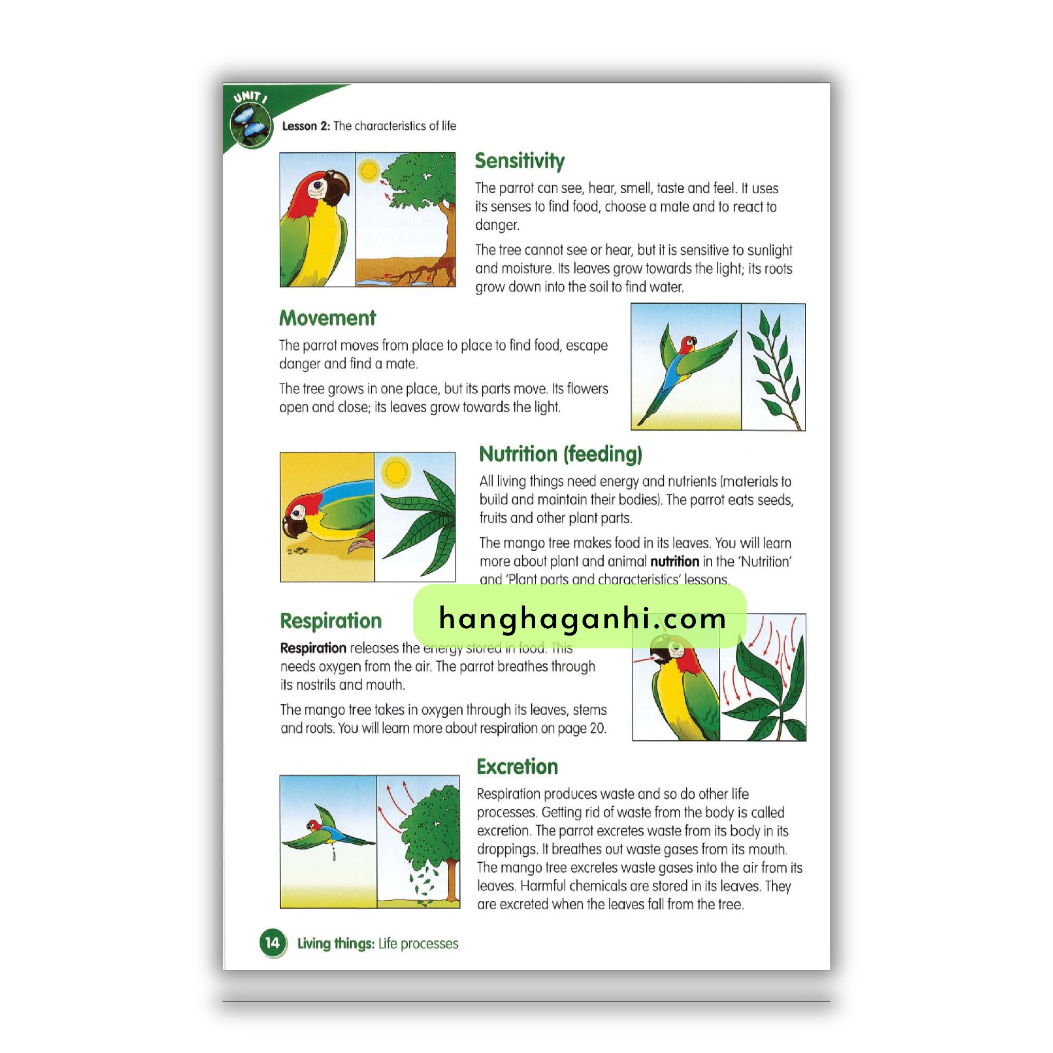 Macmillan Science 4 Pupil’s book_thumbnail_15
