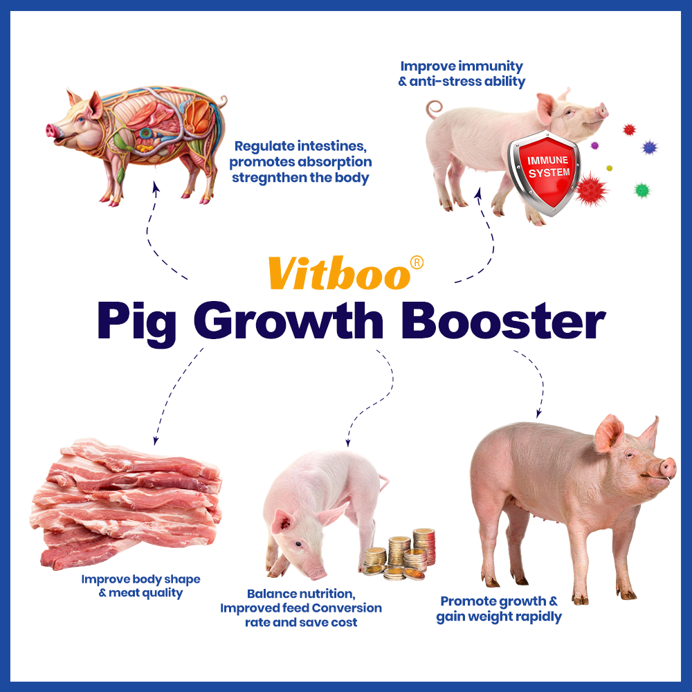 Pig Growth Booster - 20 Packs_thumbnail_3