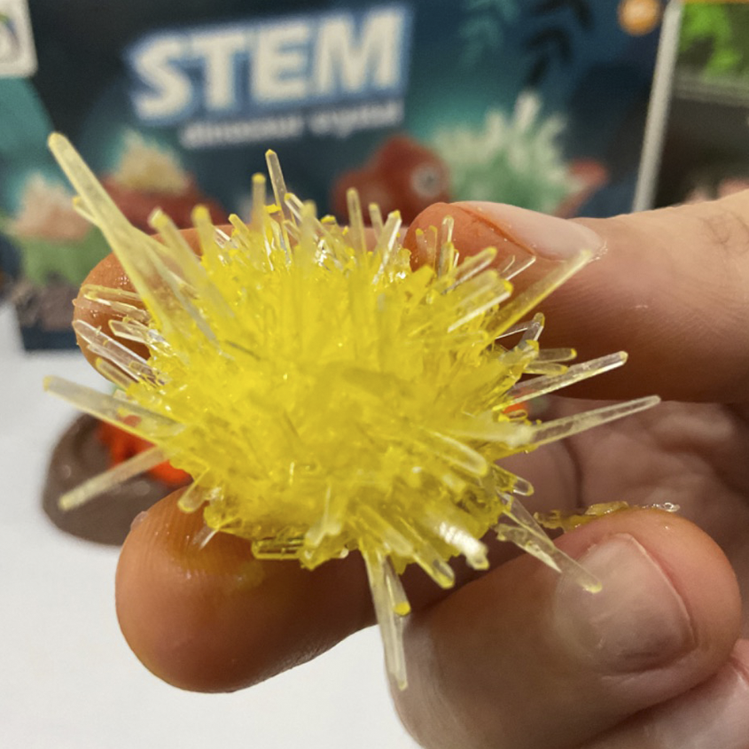 STEM Dinosaur Crystal