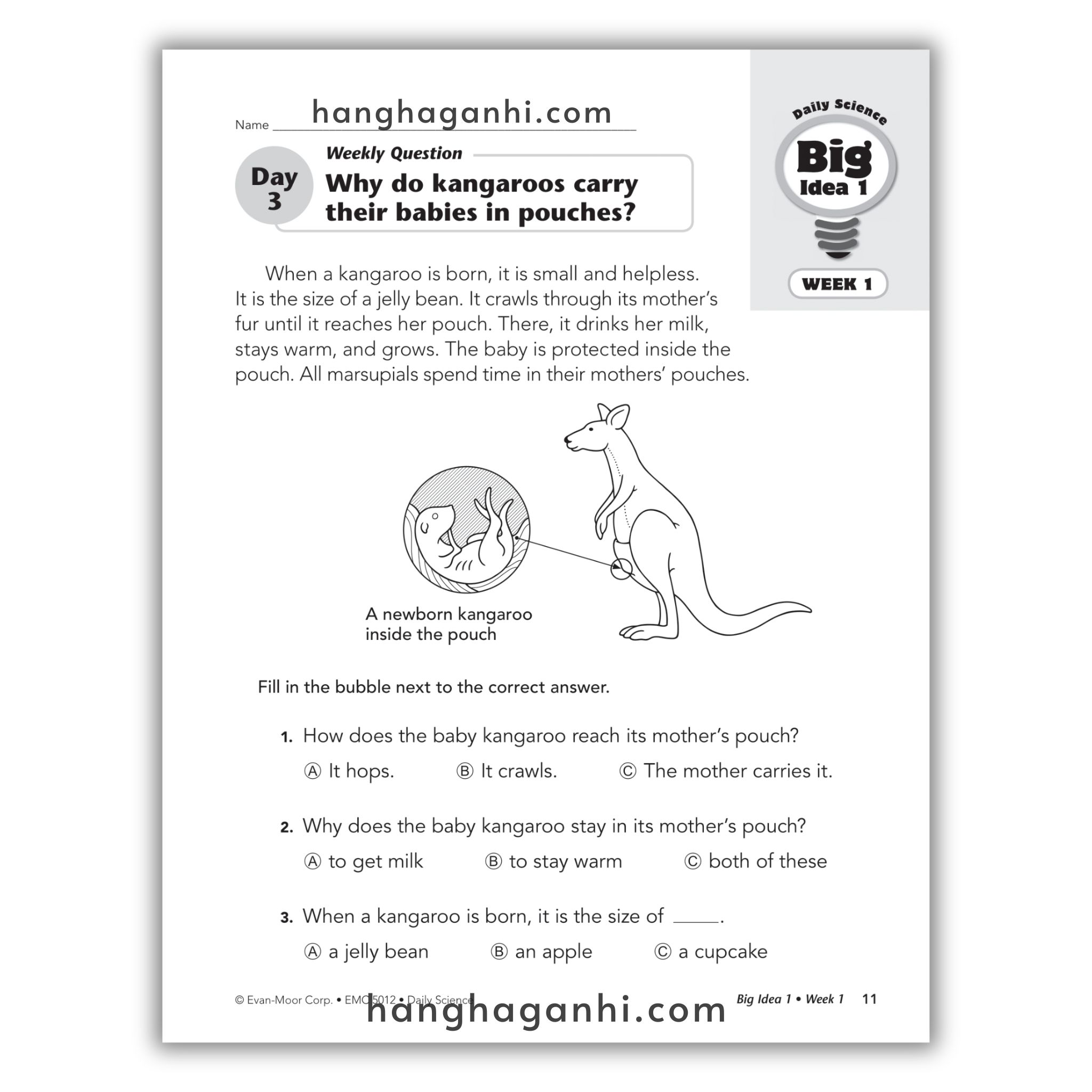 Daily Science Grade 2_thumbnail_2