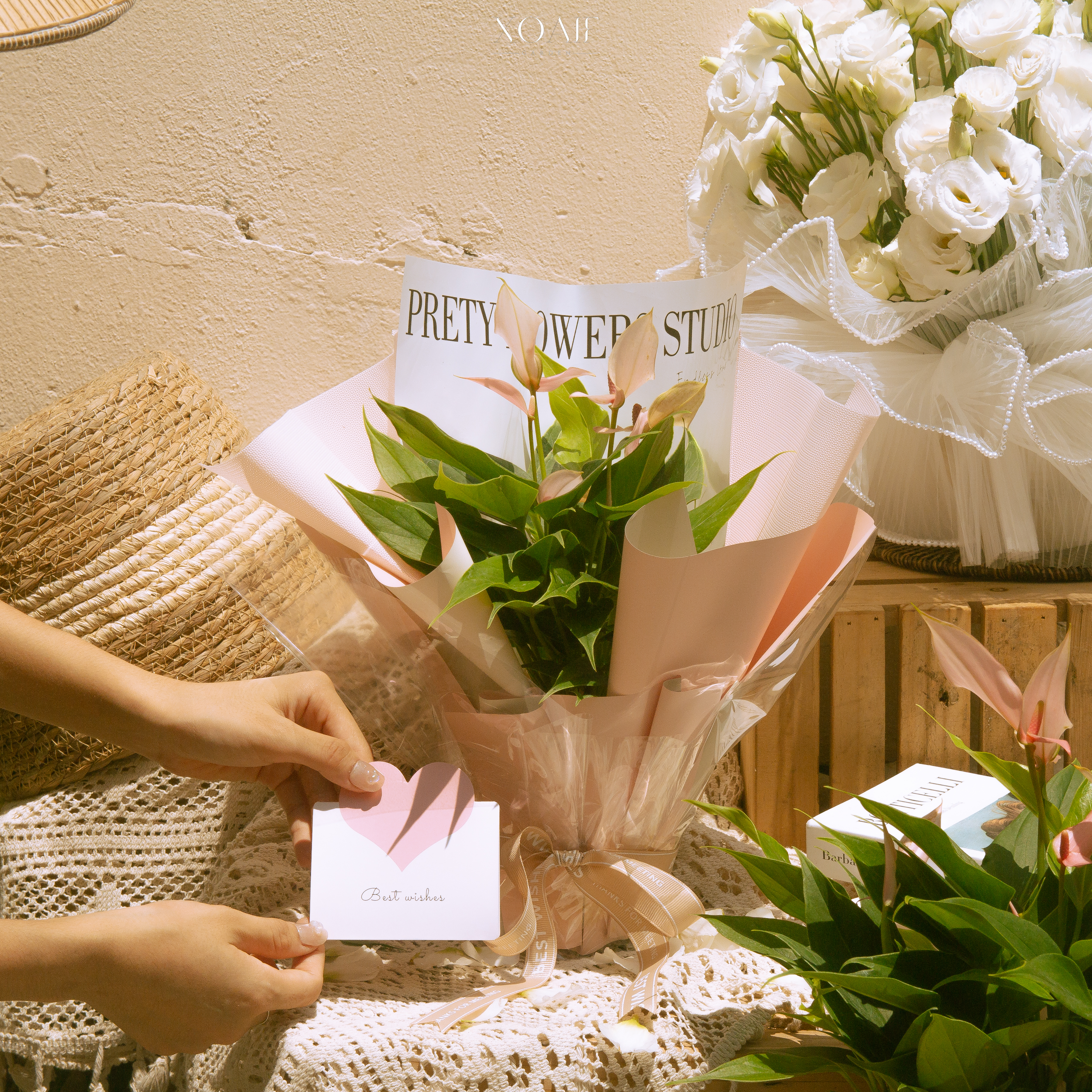 SET QUÀ TẶNG CÂY HỒNG MÔN HỒNG HẠC