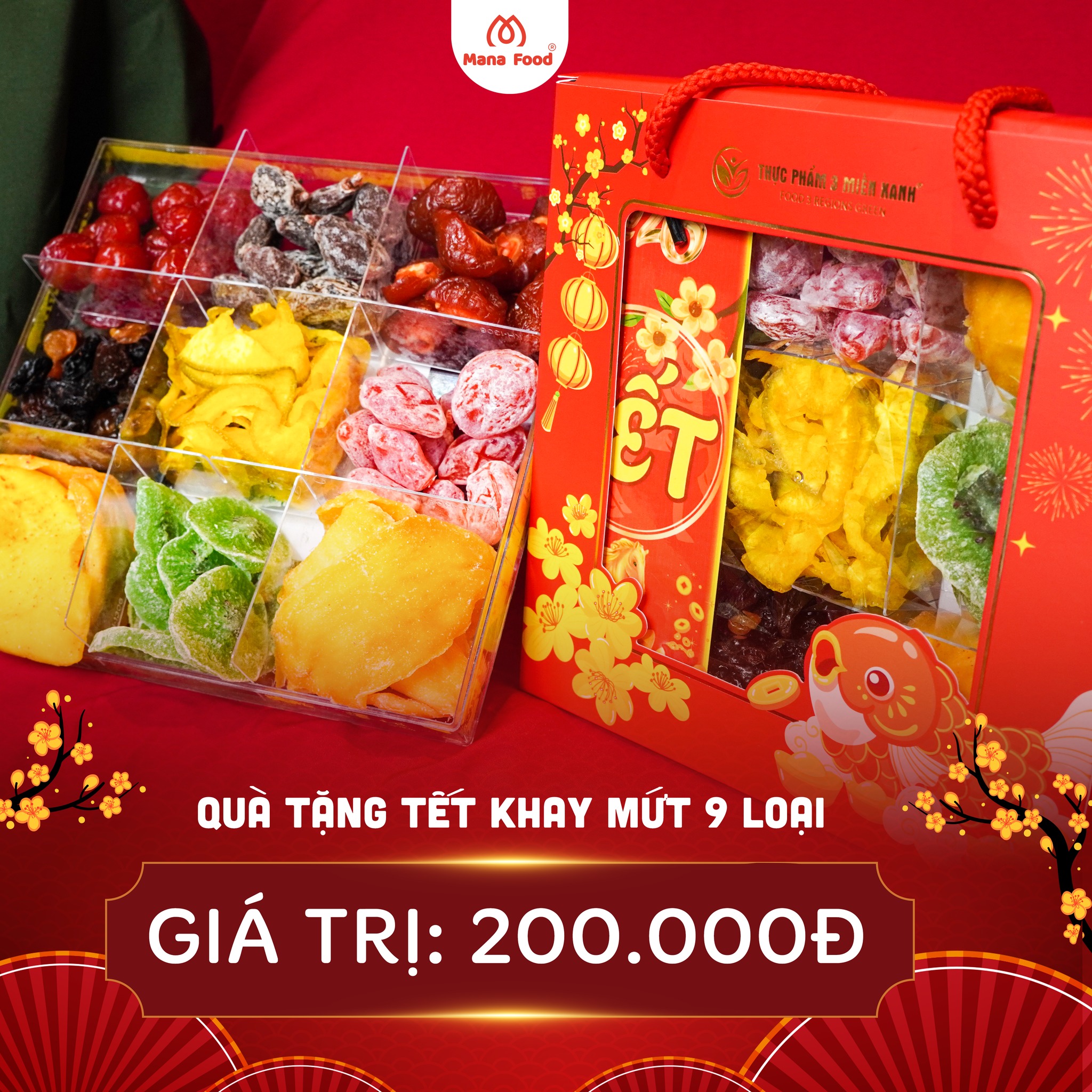 616403626_1388625293276718_8943201093003810294_n