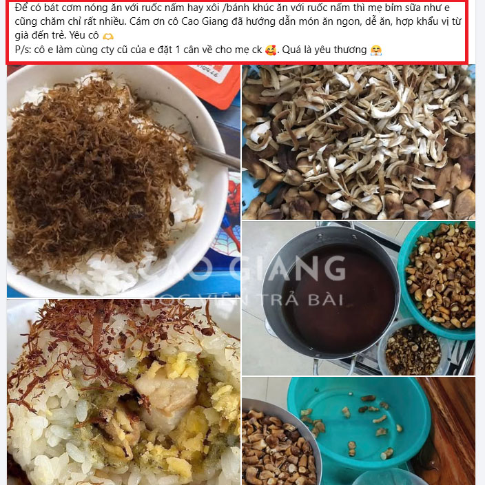 Lớp Ruốc Nấm_thumbnail_8