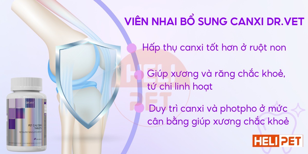 DR.VET Calcium supplement chewable tablets for dogs and cats