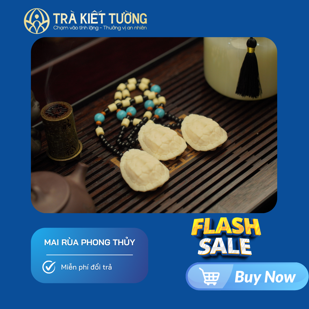 MAI RÙA PHONG THỦY - QUẢ NGÀ VOI