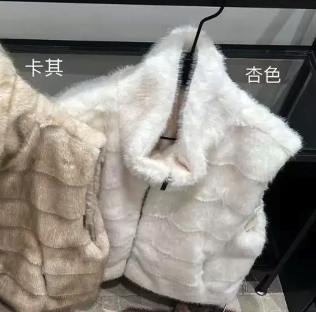 Gile lông kẻ - K41