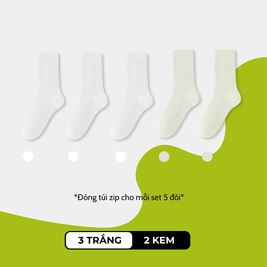 Combo 5 đôi tất nữ mỏng OAS-1706_thumbnail_1