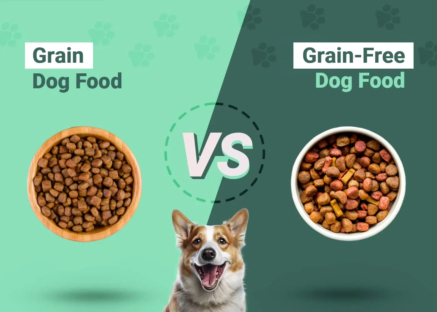 Grain Free Là Gì? Sự Thật Về Chế Độ Ăn Không Ngũ Cốc Của Chó Mèo