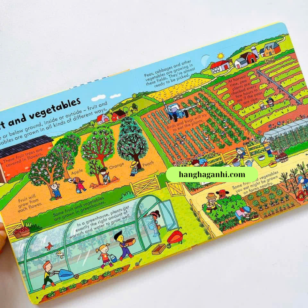 Sách lật mở Usborne Look inside Food_thumbnail_6