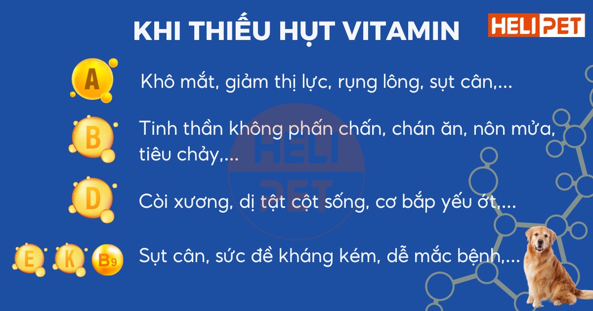 DR.VET Multivitamins for Dogs