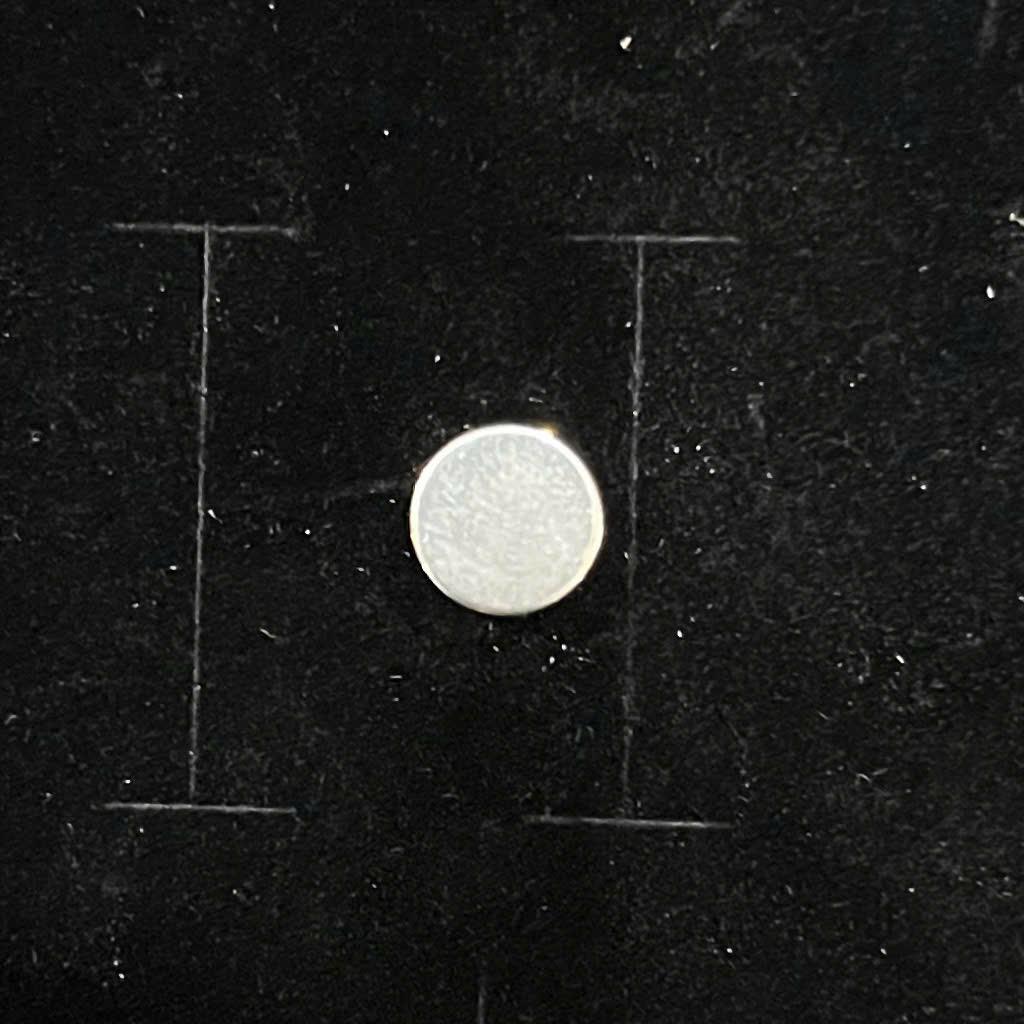 Khuyên kẹp giả nam châm trắng._thumbnail_1