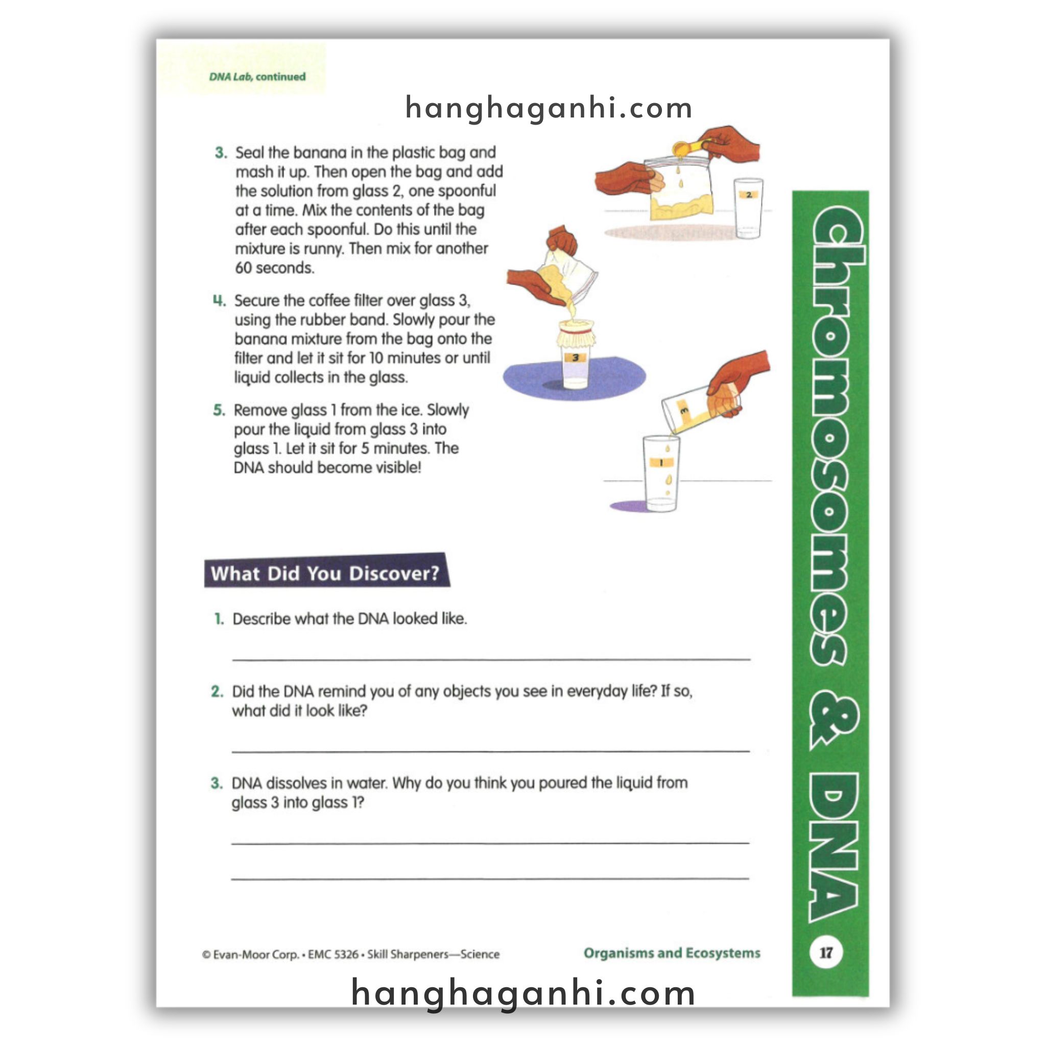 Skill Sharpeners Science Grade 6_thumbnail_15