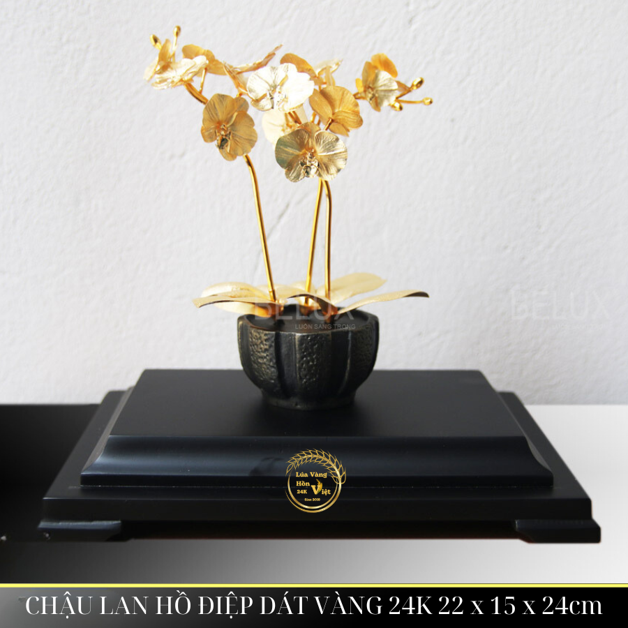 CHẬU LAN HỒ ĐIỆP DÁT VÀNG 24K 22x15x24cm_thumbnail_2
