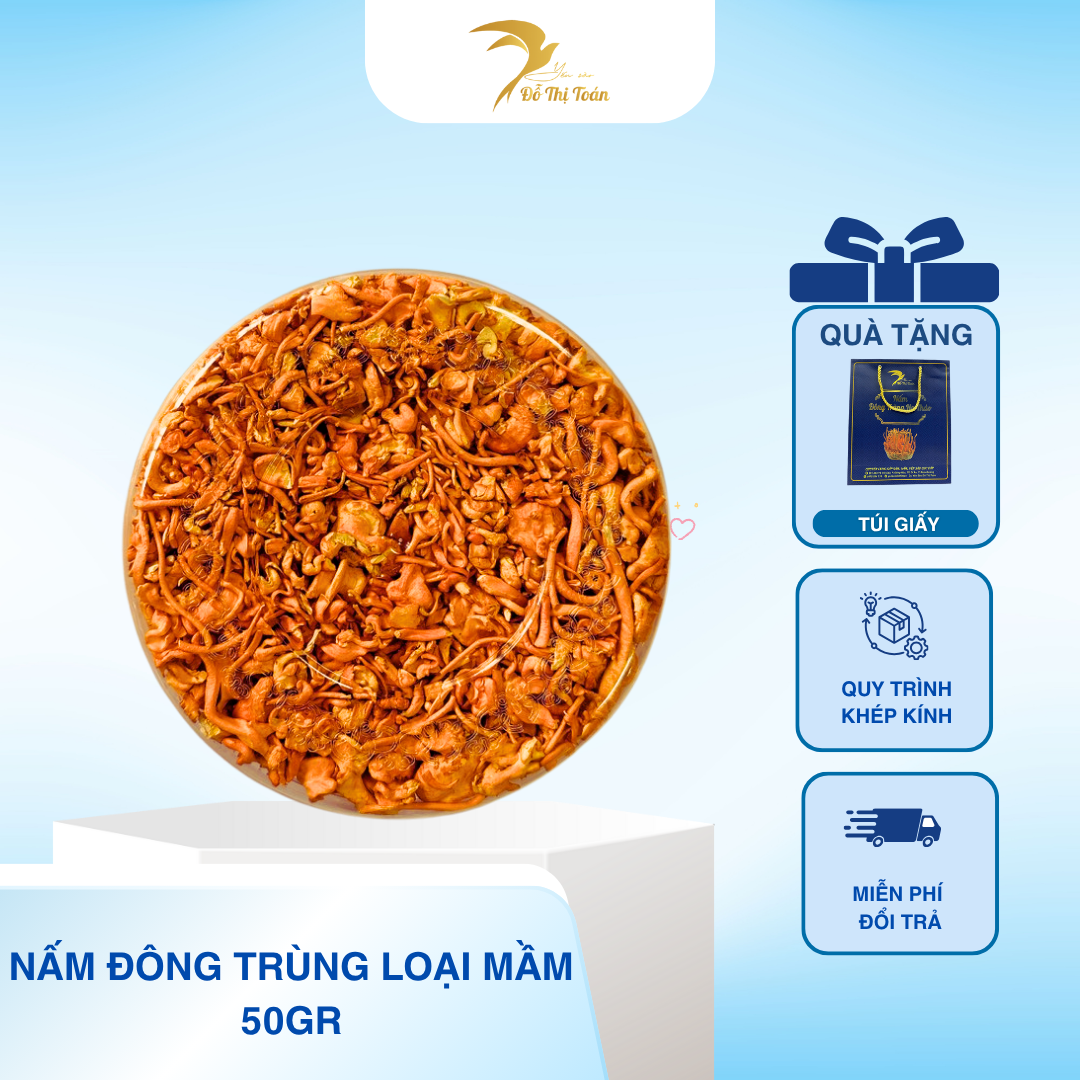 [D3] NẤM ĐÔNG TRÙNG HẠ THẢO LOẠI VỤN - HỘP 50GR