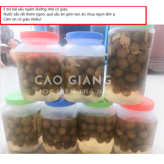 Lớp Nước Sấu Ngâm Giòn_thumbnail_11