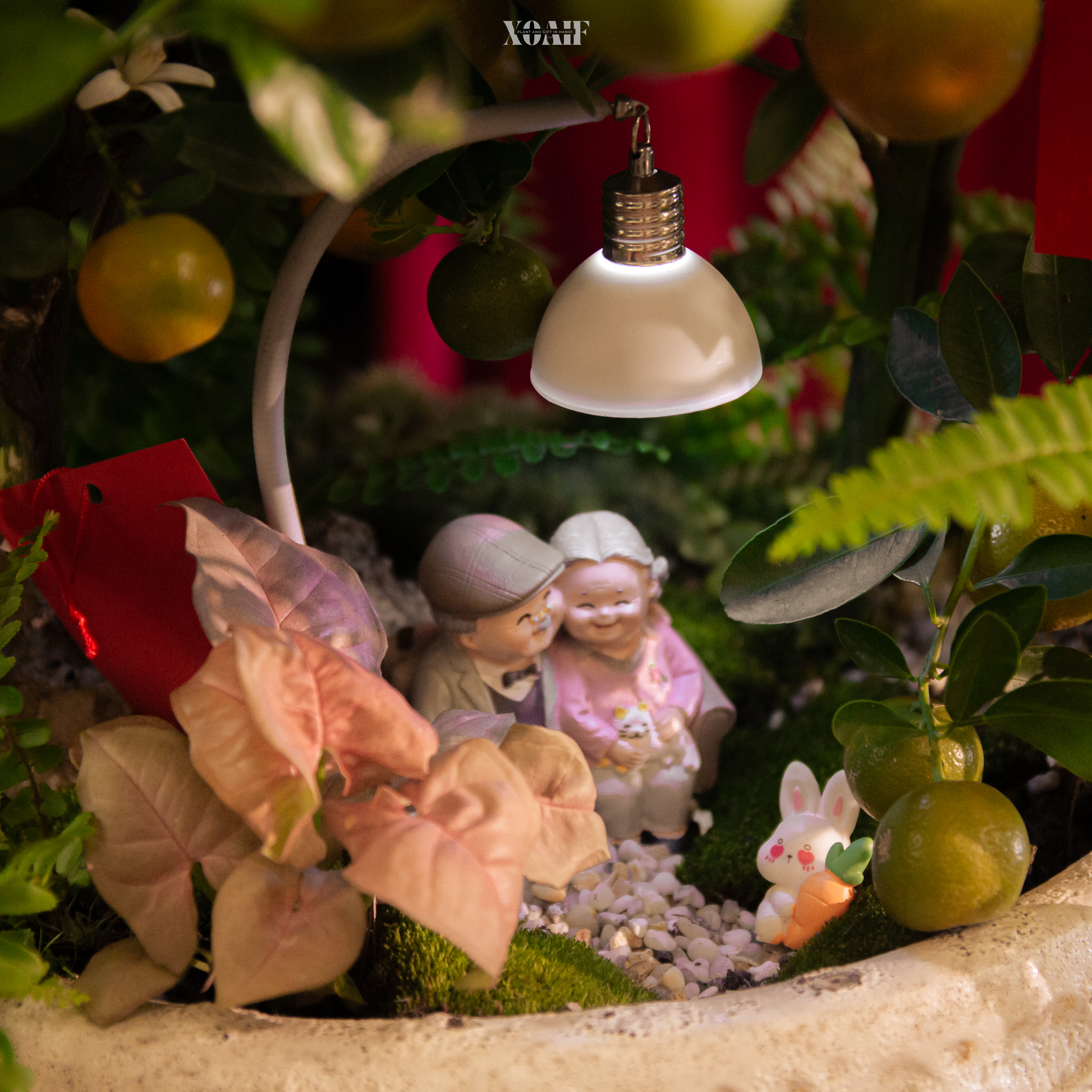 SONG QUẤT_thumbnail_3