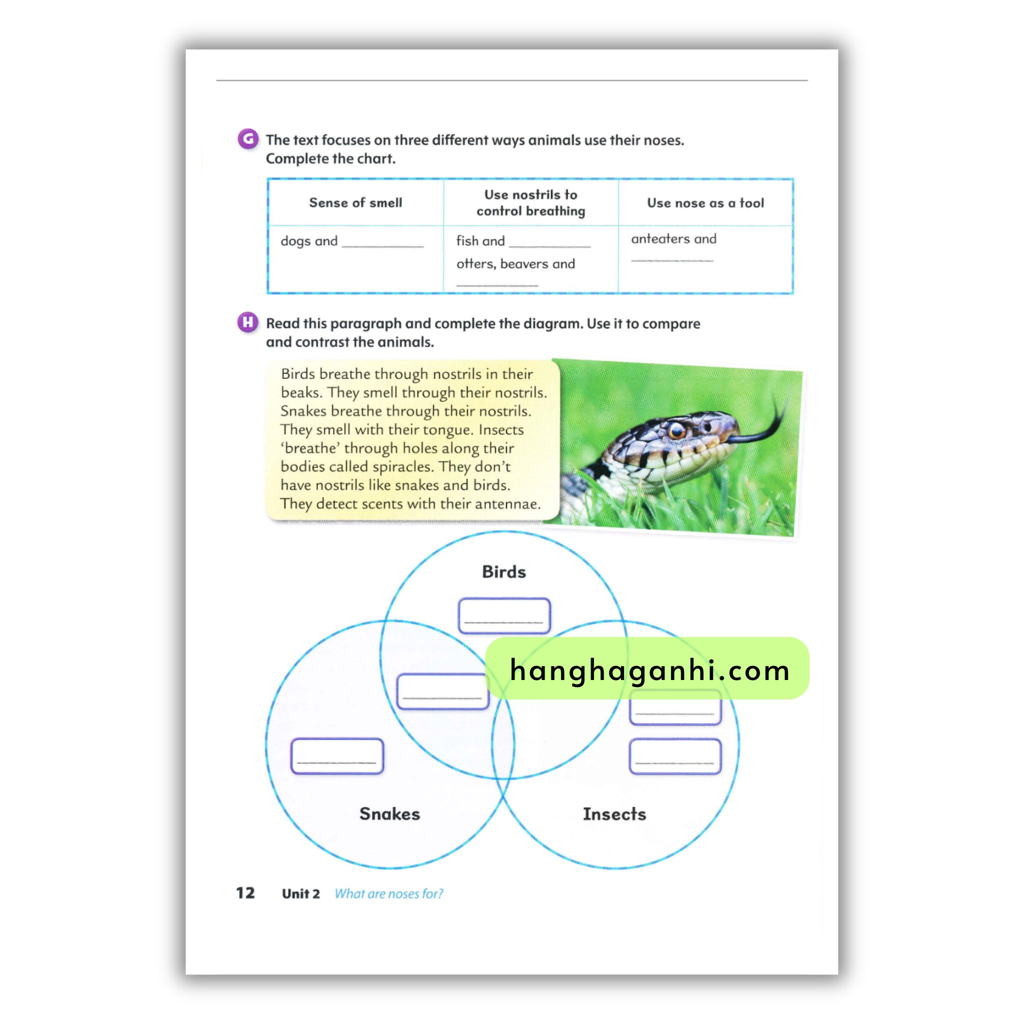 Oxford Discover Level 5 Writing And Spelling_thumbnail_11