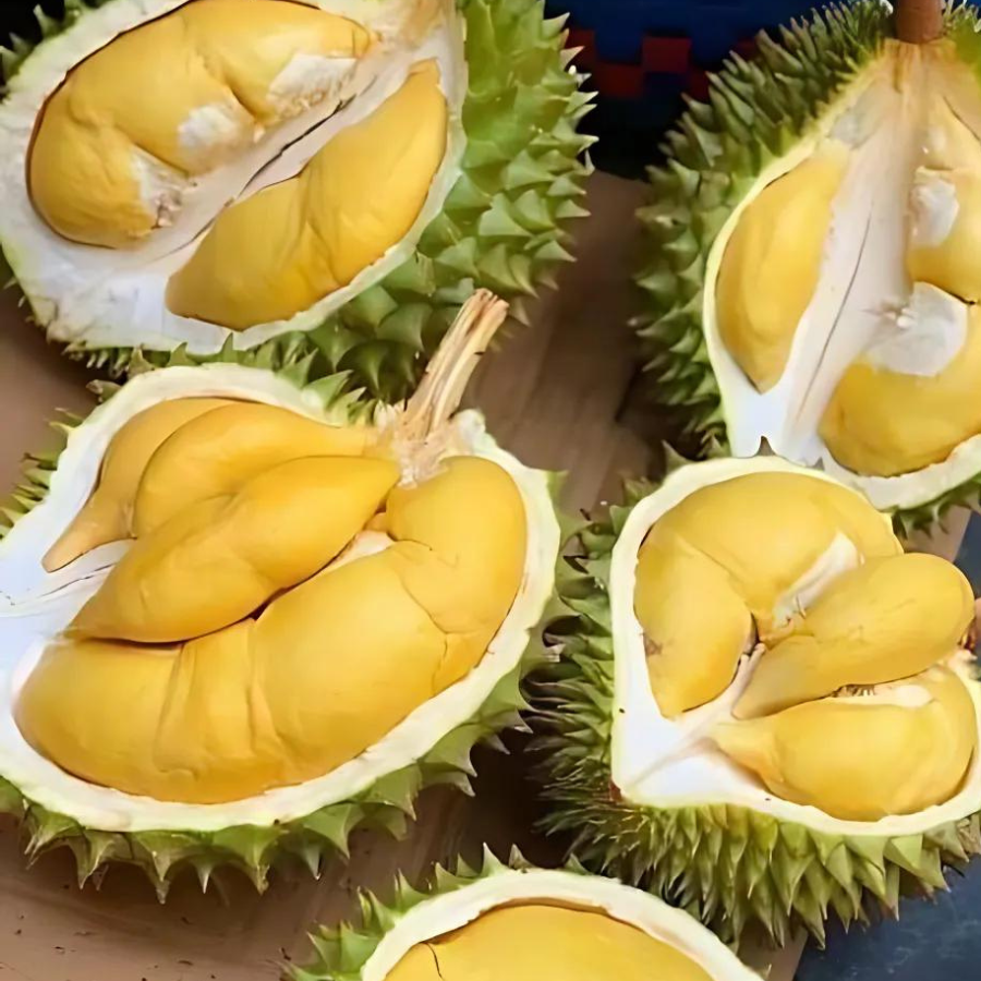 Trái Loại 1 - Sầu Riêng Ri6 MIỀN TÂY ( VIETGAP )_thumbnail_1