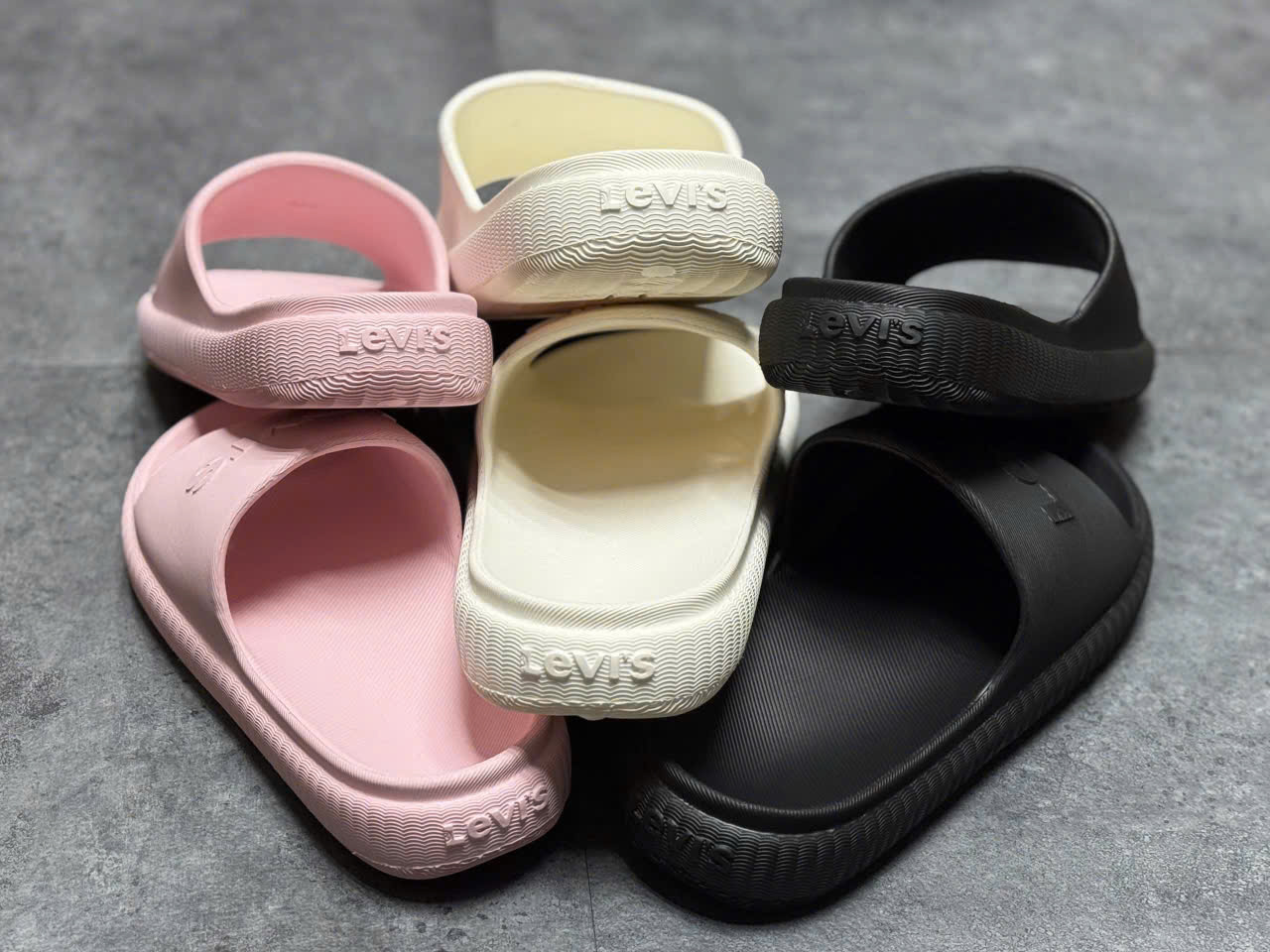 SALE D530 DÉP 3 MÀU_thumbnail_10