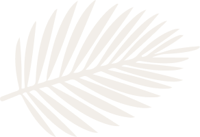 layout-slider1-011