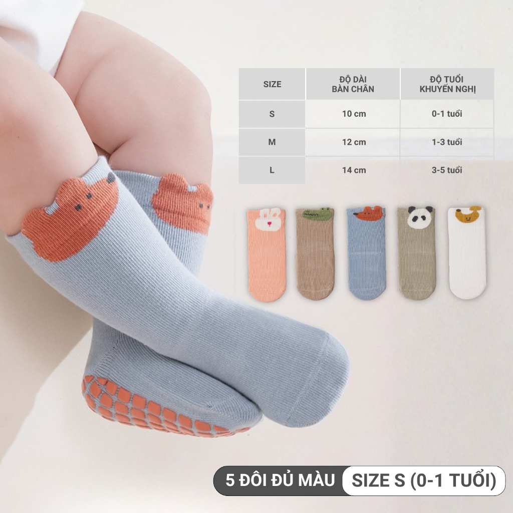 Combo 5 đôi tất tập đi YIQ-D029_thumbnail_0