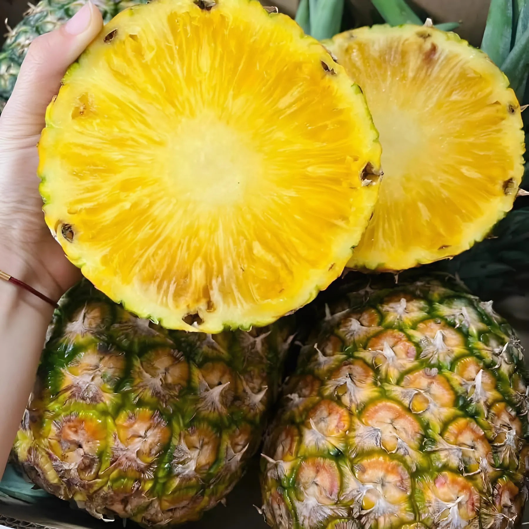 Thơm Mật MD2_thumbnail_3