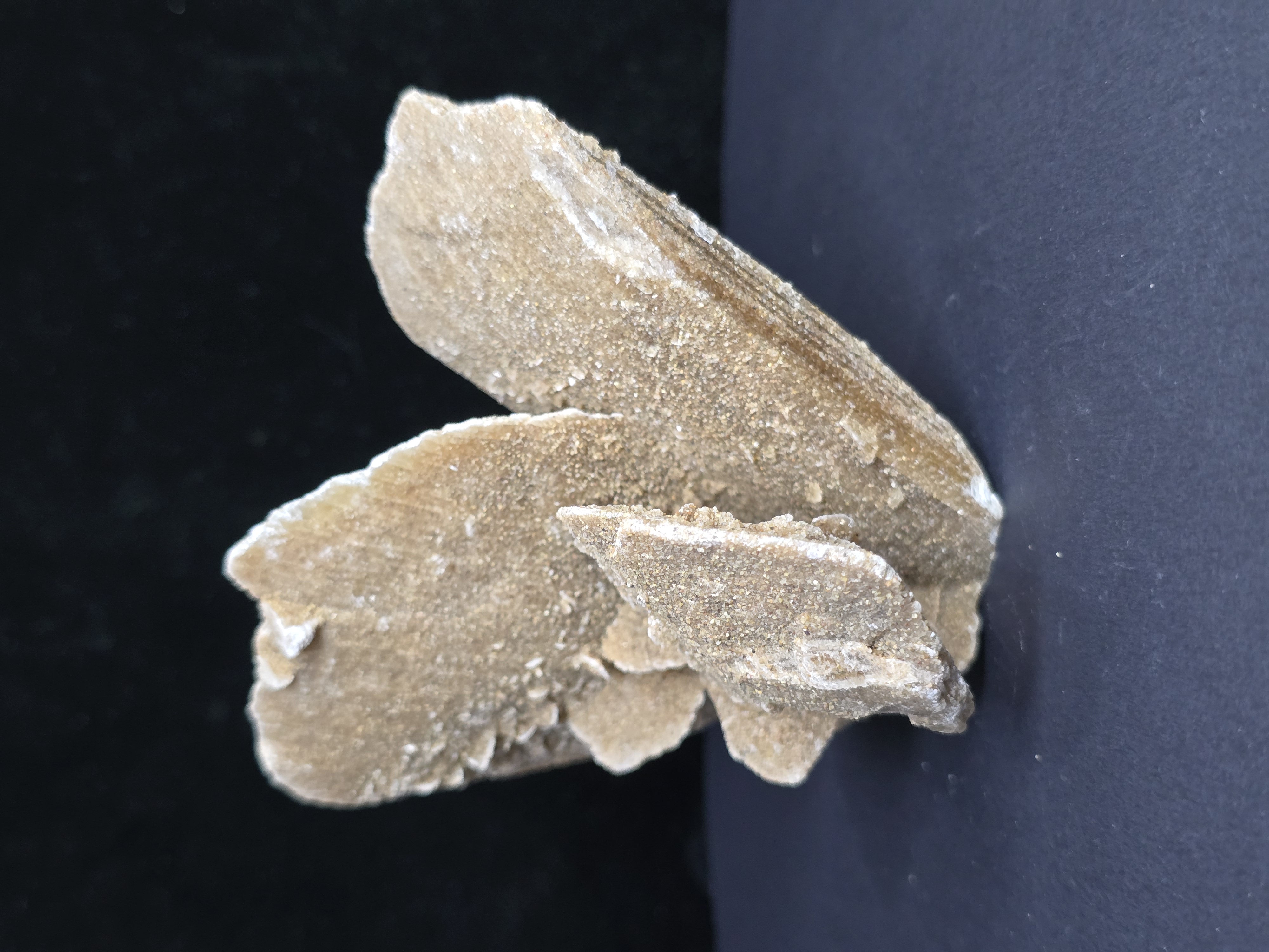 Tinh Thể Hoa Hồng Sa Mạc Desert Rose (có phản ứng UV) - Nội Mông