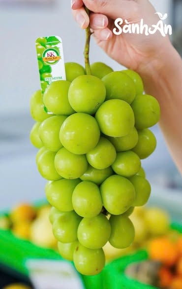 Nho Sữa Shine - Muscat
