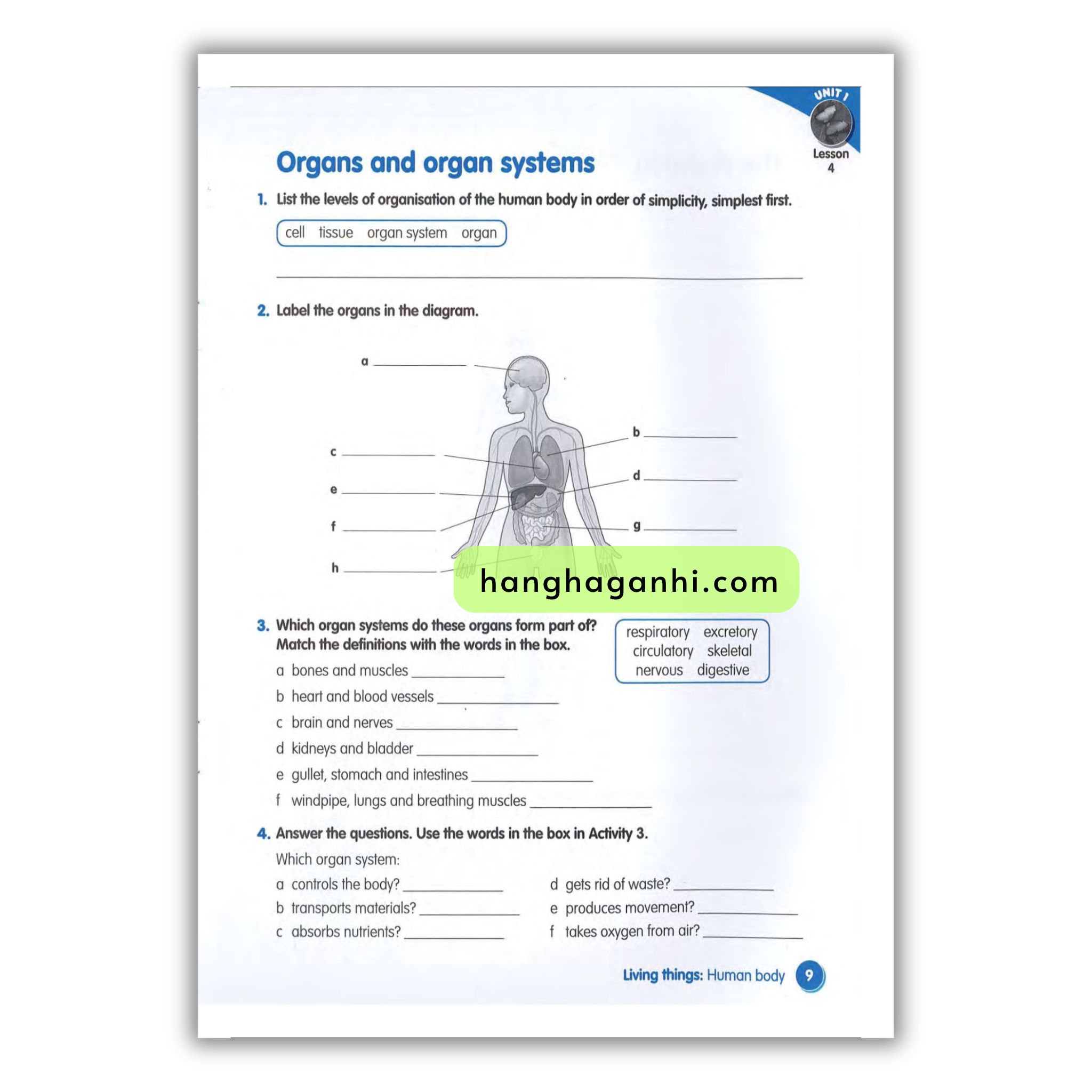 Macmillan Science 6 Workbook_thumbnail_17