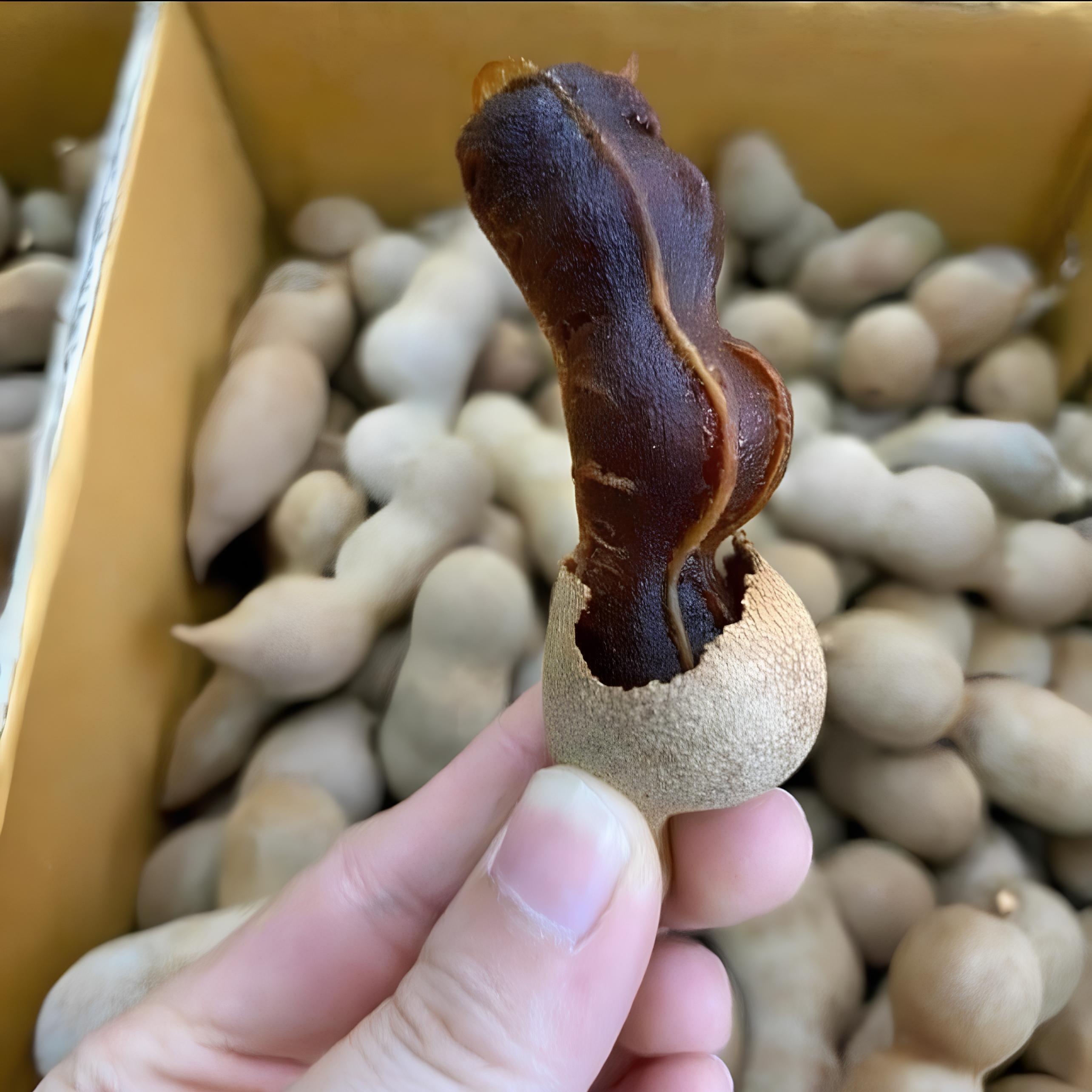 Me Ngọt Thái Sấy Khô Dẻo Mềm Thơm Ngon | Hoàng Khôi Food