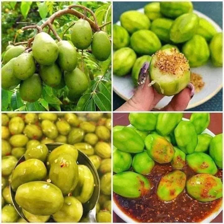 Cóc Thái_thumbnail_1