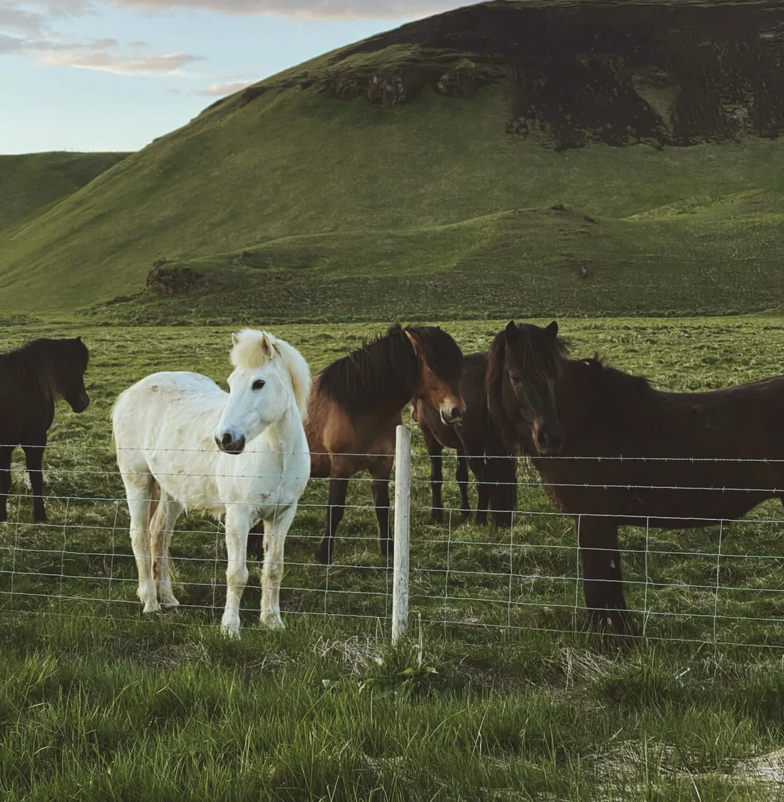 About-collapsibleTab-img