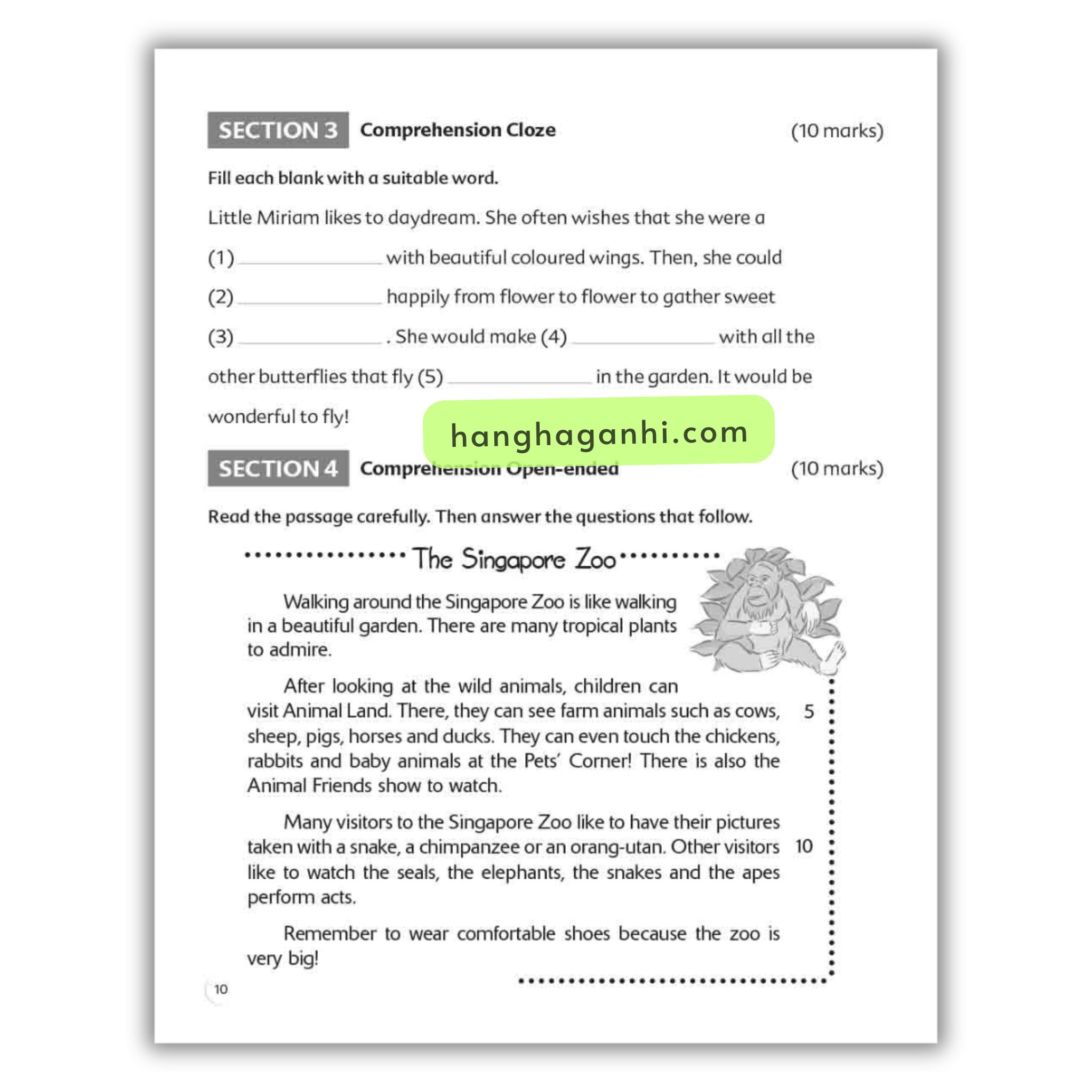 Bộ 6 cuốn Scholastic Complete Comprehension Practice 6 Level_thumbnail_10