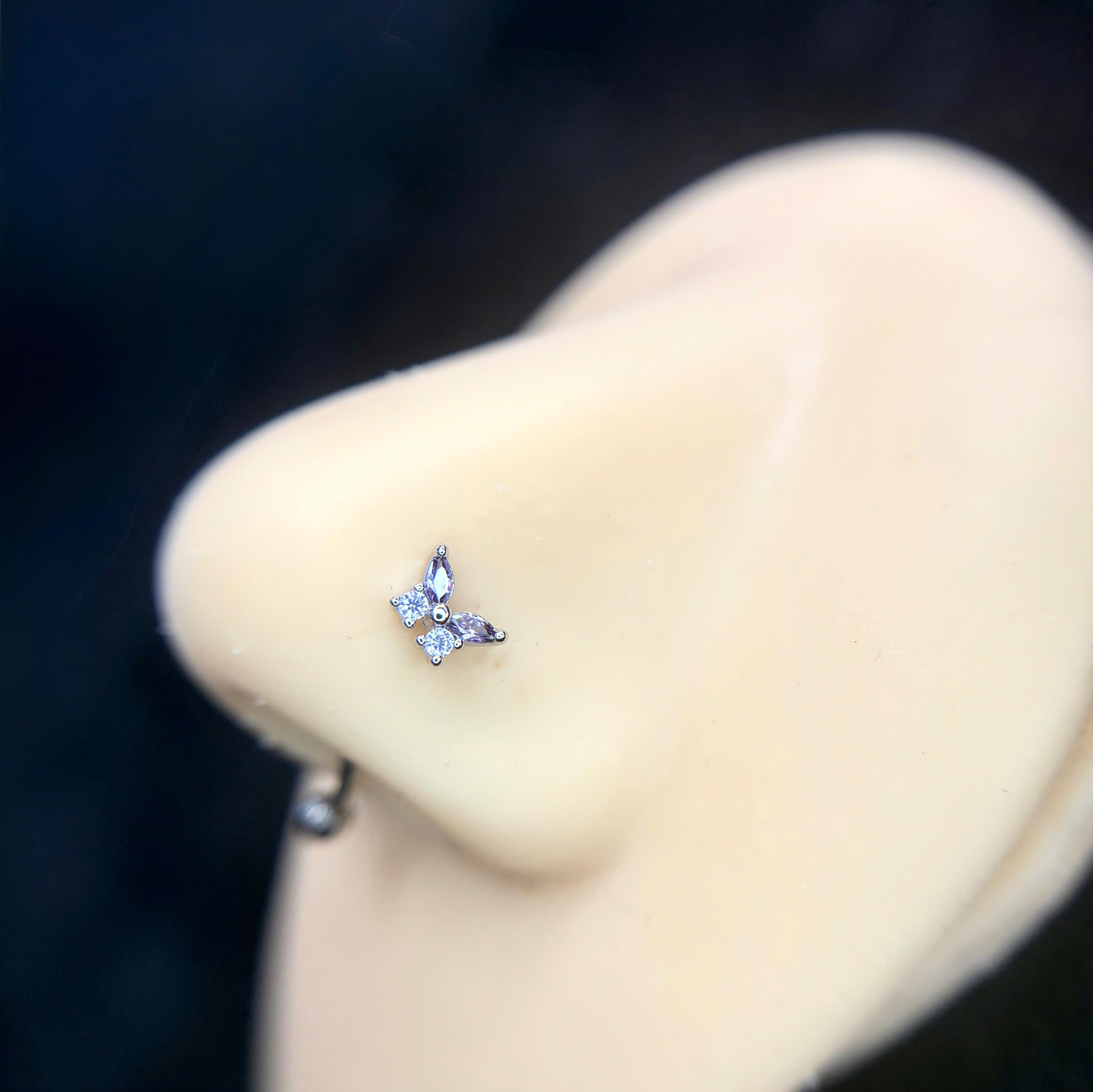 Mũi L bướm tím_thumbnail_1