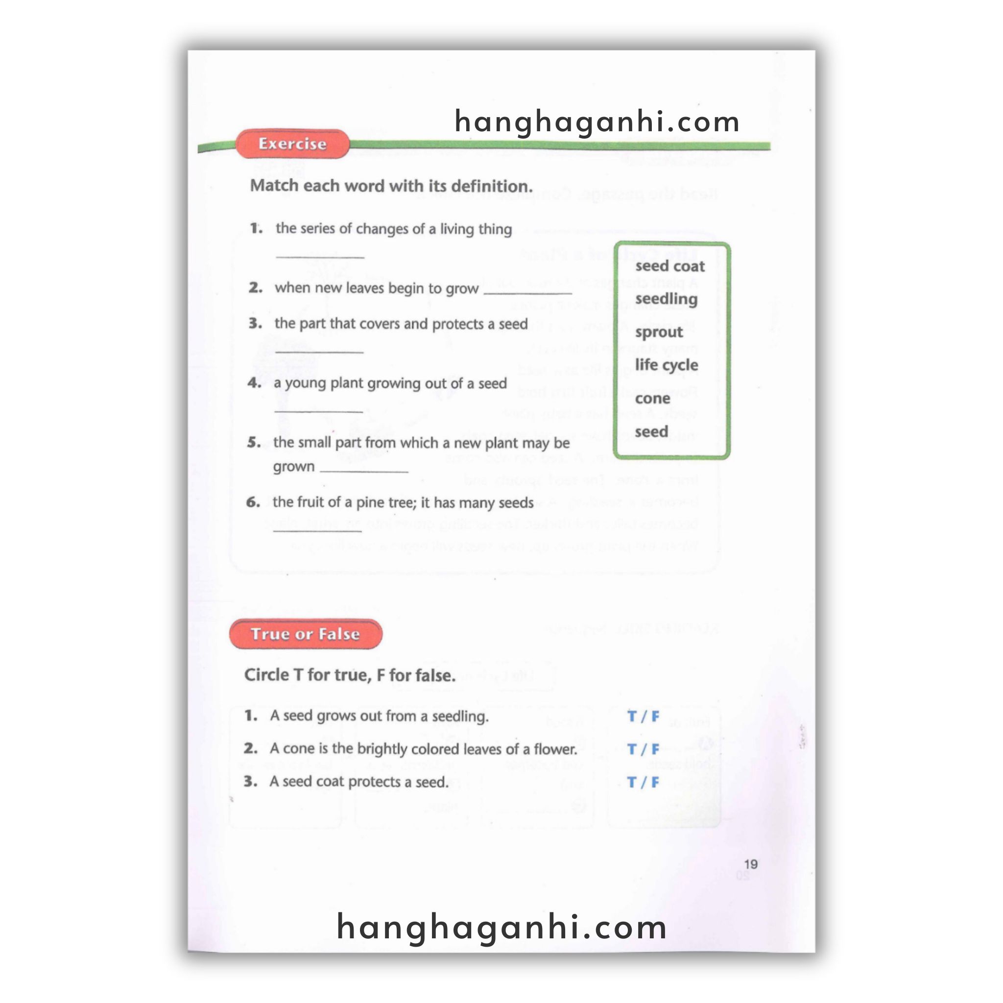 American Text Book Reading – Trọn Bộ 4 Grade 8 cuốn ( Kèm File nghe và Video)_thumbnail_8