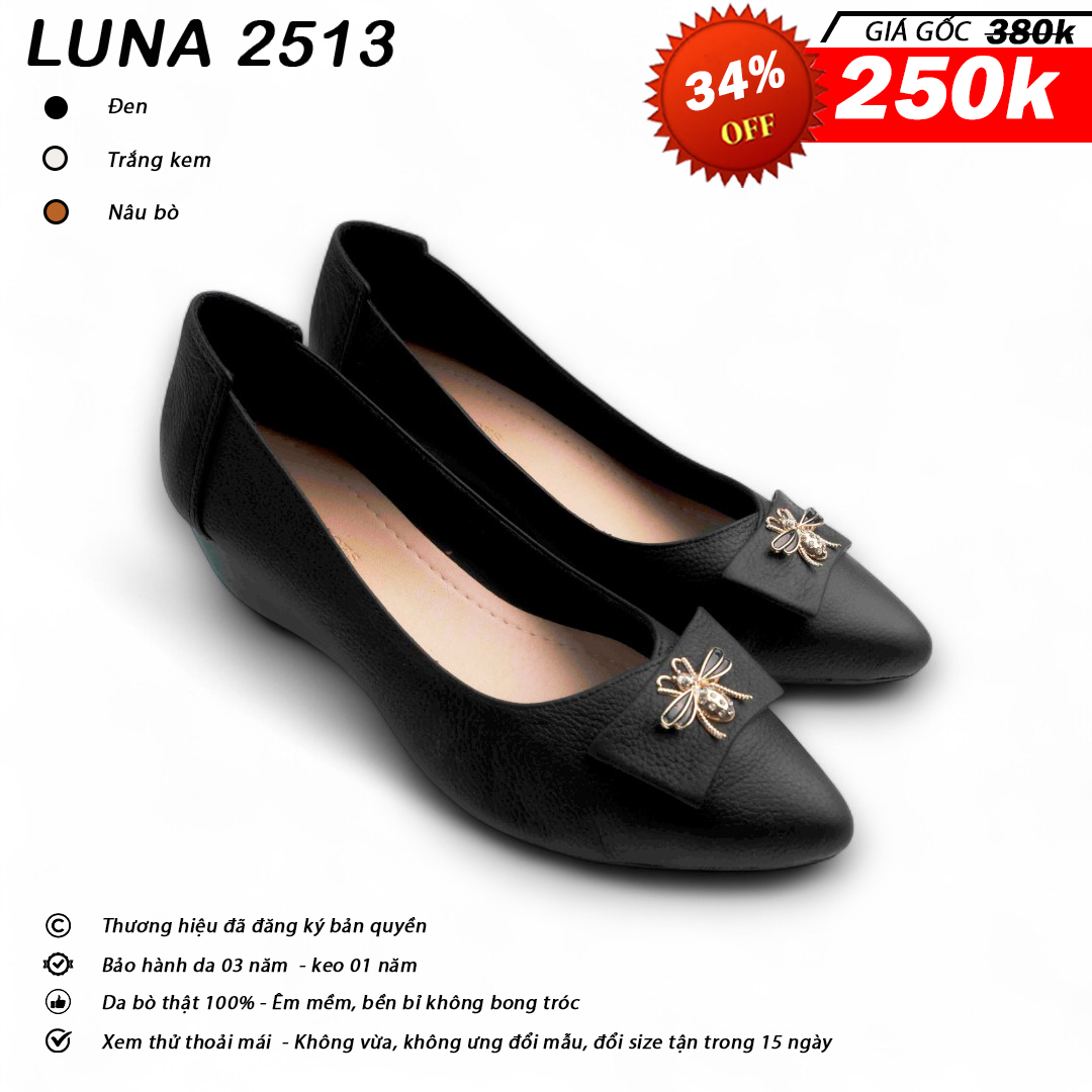 Luna 2513