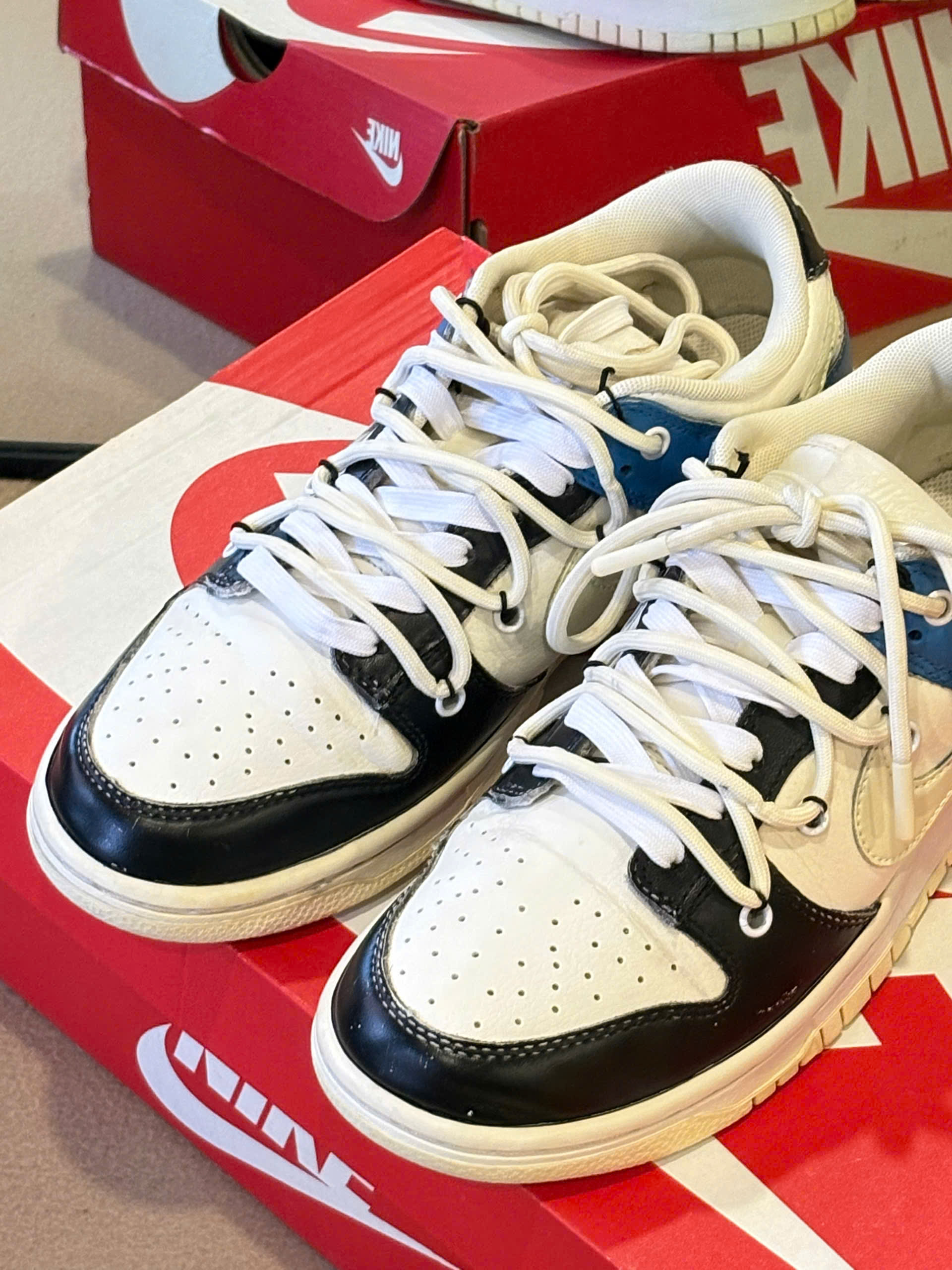 Nike Dunk Low Retro (W)