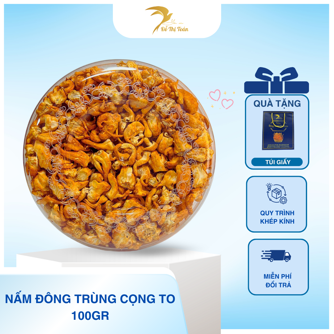 [D29] NẤM ĐÔNG TRÙNG HẠ THẢO CỌNG LỚN- HỘP 100GR