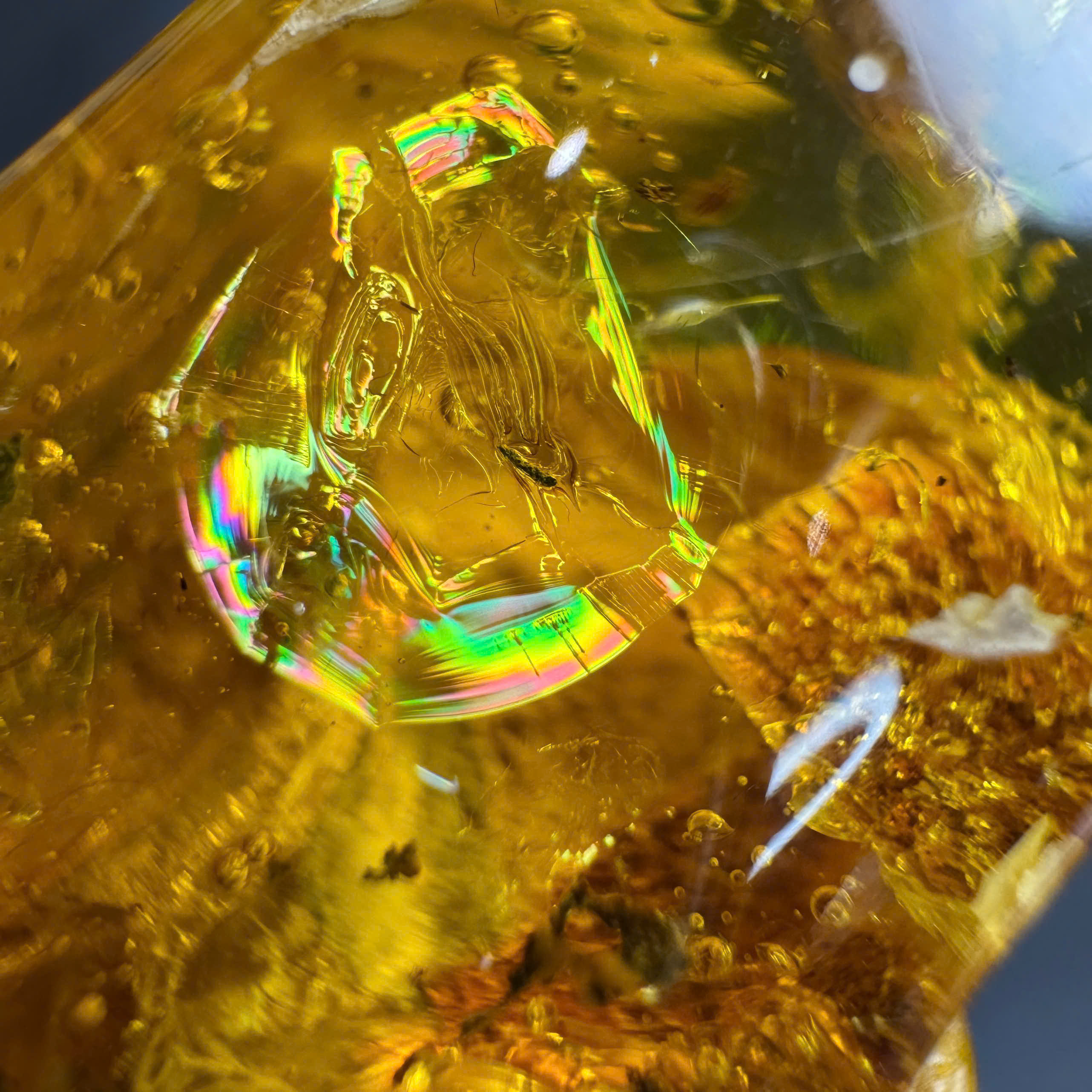 Đá Hổ Phách Tự Nhiên Được Hình Thành Như Thế Nào?